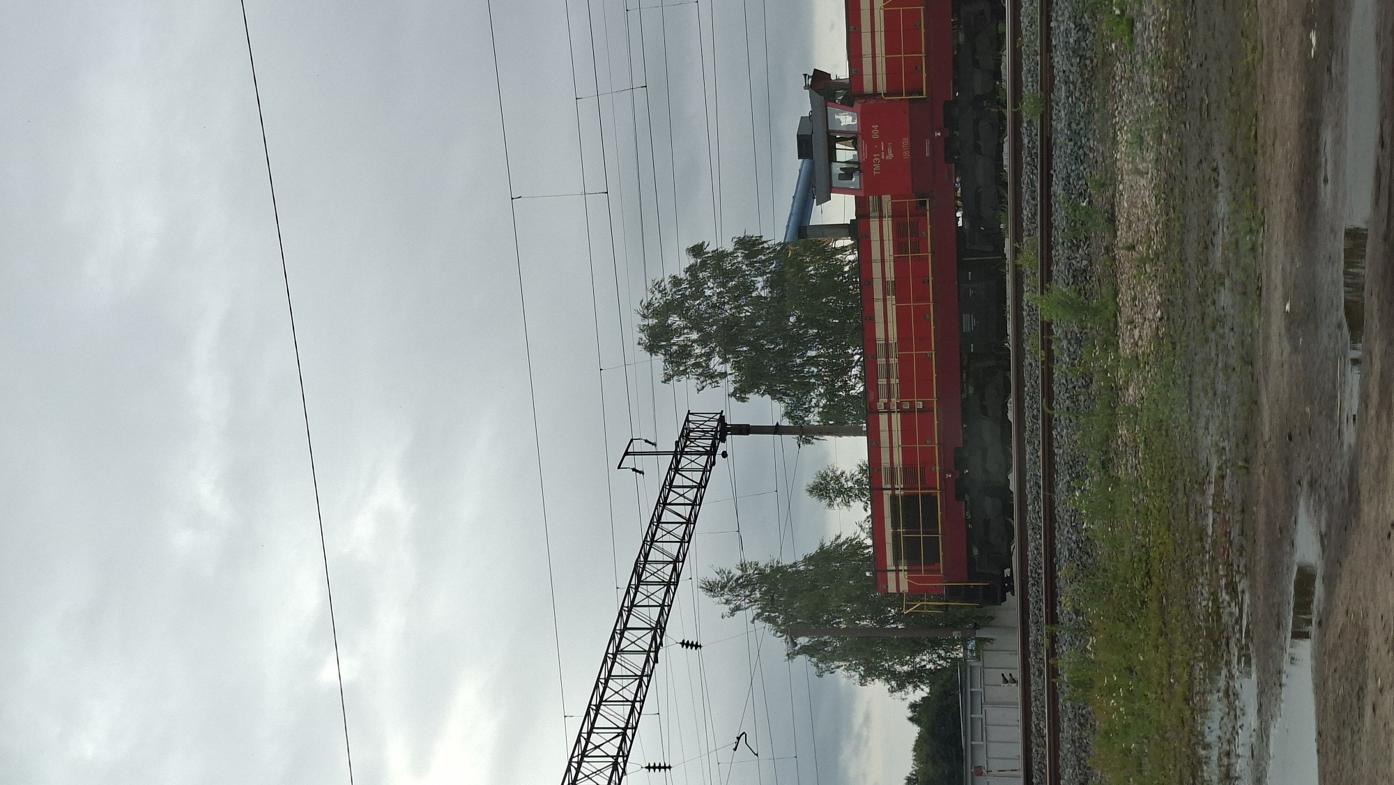 The image shows a red and white train engine on a railway track under a cloudy sky. The train has "TM31 - 004" and "15617099" written on its side. Several tall trees are visible behind the train, and there is a metal overhead structure with wires above the train. The foreground shows a gravel track bed with some vegetation and puddles of water. A grey industrial building or structure is partially visible to the left of the train. The scene appears to be located in an industrial or railway yard. It is likely a scene within the city of Smolevichi, Belarus.