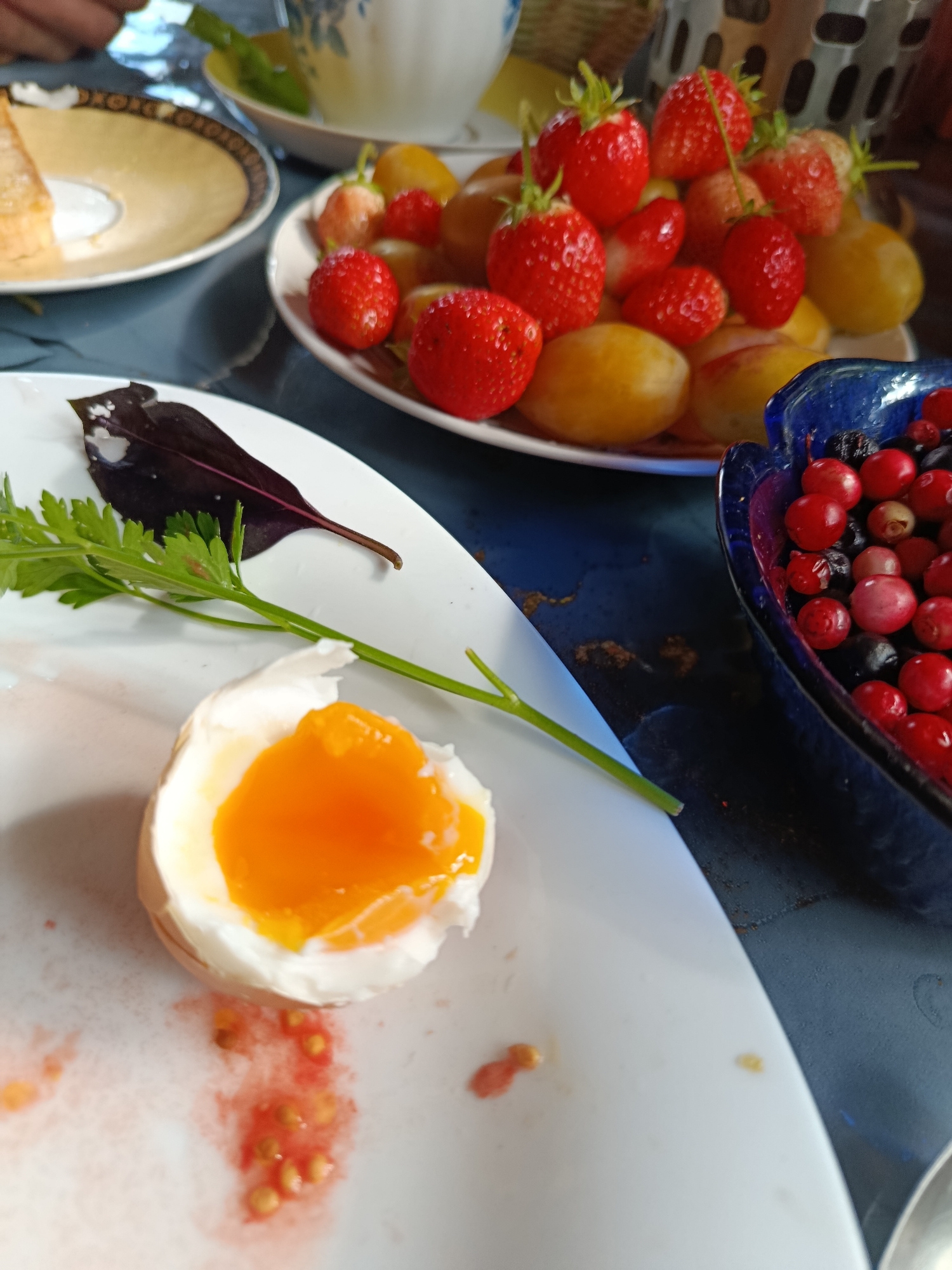 This is a close-up, eye-level, medium shot of a breakfast scene set outdoors, possibly in the city of Veriya, Russia. In the foreground, a cracked soft-boiled egg with a bright orange yolk sits on a white plate, accompanied by a sprig of parsley and a dark red leaf. To the right, a blue bowl overflows with fresh berries, including red cranberries and dark blueberries. In the background, a plate of strawberries and small yellow fruits is visible, along with a portion of a white teacup and saucer. The overall setting suggests a leisurely morning meal.
