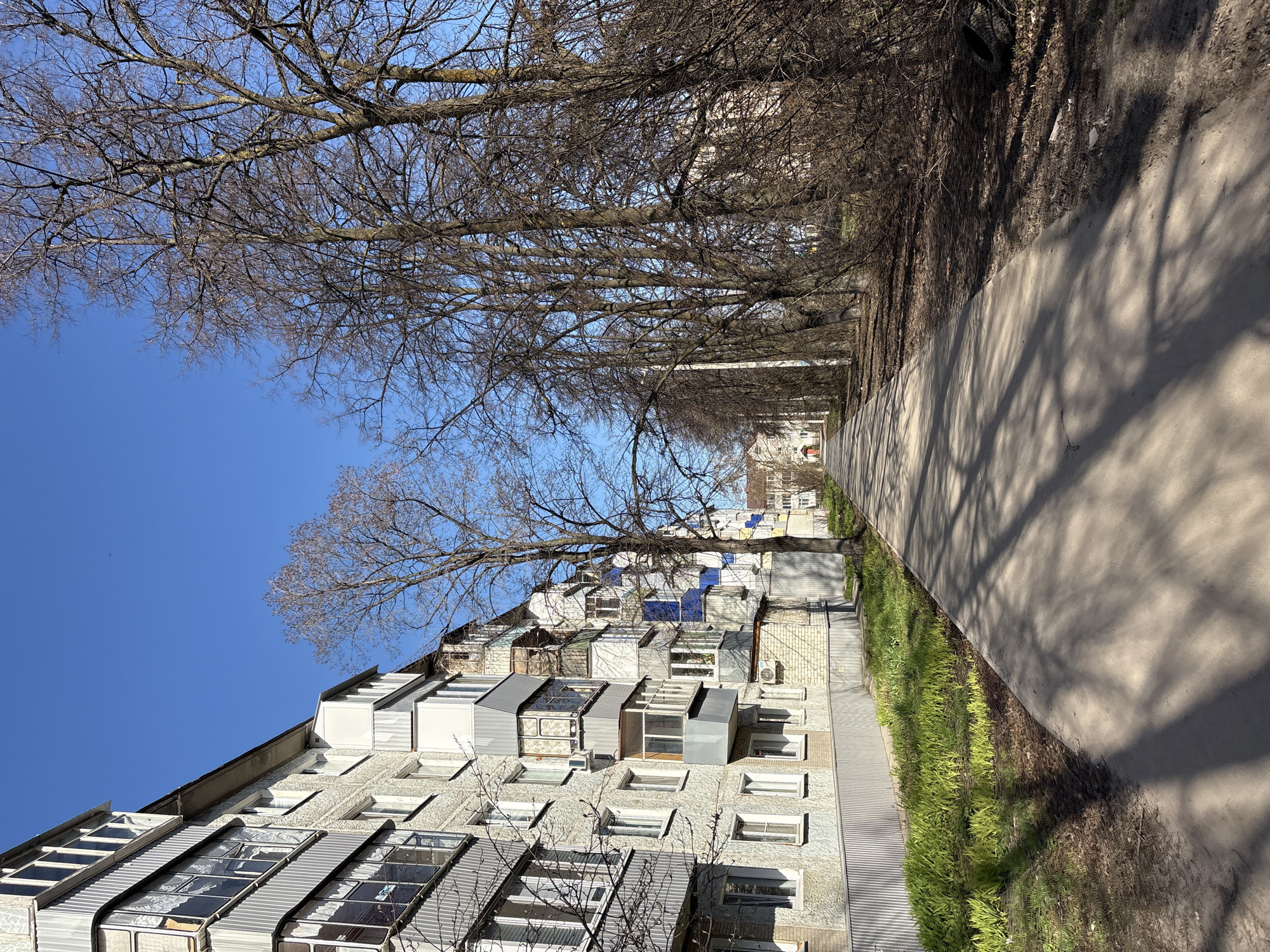 The image displays a sunny street scene in Ulyanovsk, Russia, featuring a residential building, a paved path, and bare trees under a clear blue sky.
On the left, a multi-story apartment building stretches along the frame. Its facade is light-colored, possibly stucco or concrete, and features numerous windows. Many balconies have been enclosed or significantly modified with various materials like corrugated metal, glass, and plastic panels, giving the building a diverse architectural texture.
Adjacent to the building, a narrow strip of ground shows patches of vibrant green grass mixed with dry soil and sparse vegetation. Parallel to this, on the right side of the image, runs a paved path or sidewalk, likely asphalt or concrete. The path is illuminated by bright sunlight, and distinct shadows of tree branches are cast across its surface, suggesting it is either morning or afternoon.
A line of tall, bare deciduous trees stands along the far edge of the path, their intricate branch networks silhouetted against the sky. Their lack of foliage indicates either late autumn, winter, or early spring. The sky above is a brilliant, cloudless blue. In the background, further down the path, additional residential structures are visible, partially obscured by the tree line. No people or specific activities are present in the tranquil scene. There is no visible text.