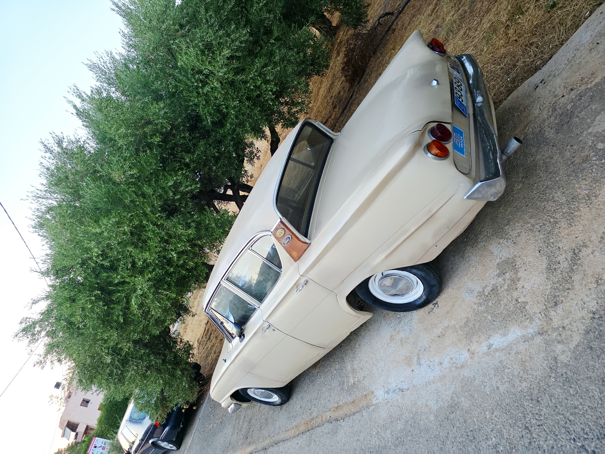 Two parked cars are situated on a paved road, angled to the right. The foreground features a vintage cream-colored sedan with its rear facing the camera. The car has chrome bumpers, round taillights, and white hubcaps with chrome accents. A license plate, reading "9369", is visible on the rear. To the left and slightly behind the vintage car is a dark-colored station wagon.
The background is dominated by lush green trees, likely olive trees given the location, with dry, brown vegetation covering the ground. In the upper left portion of the image, a light-colored building with balconies and windows can be seen. The sky is clear and pale blue.
The scene appears to be in a rural or semi-rural area. Based on the provided information, the location is the city of Malia Municipal Unit, Greece. The image is a static shot of two vehicles parked outdoors, with no people or activity depicted.