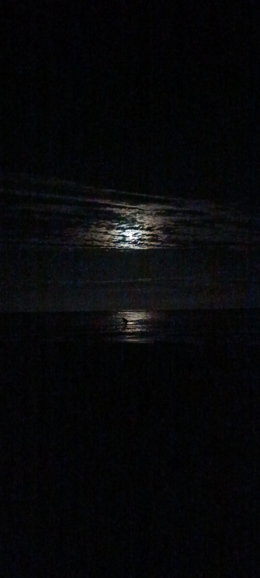 A nighttime photograph shows a dark, low-lying landscape. A body of water, likely the ocean, occupies the middle third of the image, reflecting the moonlight. The moon itself is obscured by wispy clouds, but its light creates a shimmering path across the water. In the water, a dark silhouette of a person is visible, appearing to be partially submerged or wading. The foreground and background are extremely dark, suggesting a beach or shore.