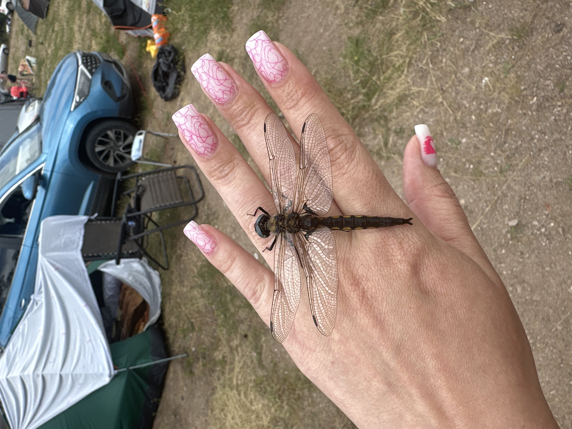 A person's hand with long, square, white acrylic nails decorated with pink swirling lines is held out in front of a campsite. A large, dark-colored dragonfly with translucent wings rests on the back of the hand. In the background, a green and white tent is set up, along with a blue SUV, camping chairs, and other tents. The ground is covered in dirt and dry grass. The scene appears to be a recreational camping area. The location is not specified as being in the city of Колодезный, Russia.