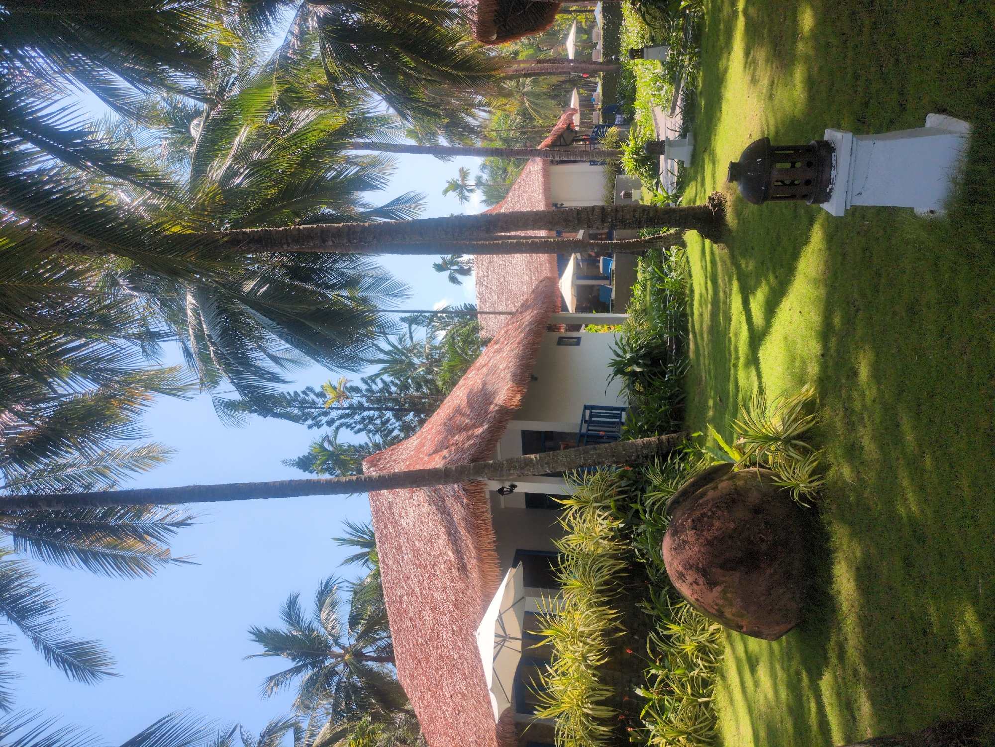 The scene depicts a tropical resort in Phú Quốc, Vietnam. Palm trees are prominent, framing a view of buildings with thatched roofs. A large, dark-colored urn sits on the green lawn. One structure is visible with an umbrella, another one looks like a resort room with a partially-visible terrace. There are white objects that appear to be ornate lanterns or lighting fixtures along a pathway. The sky is blue and partially obscured by palm fronds.