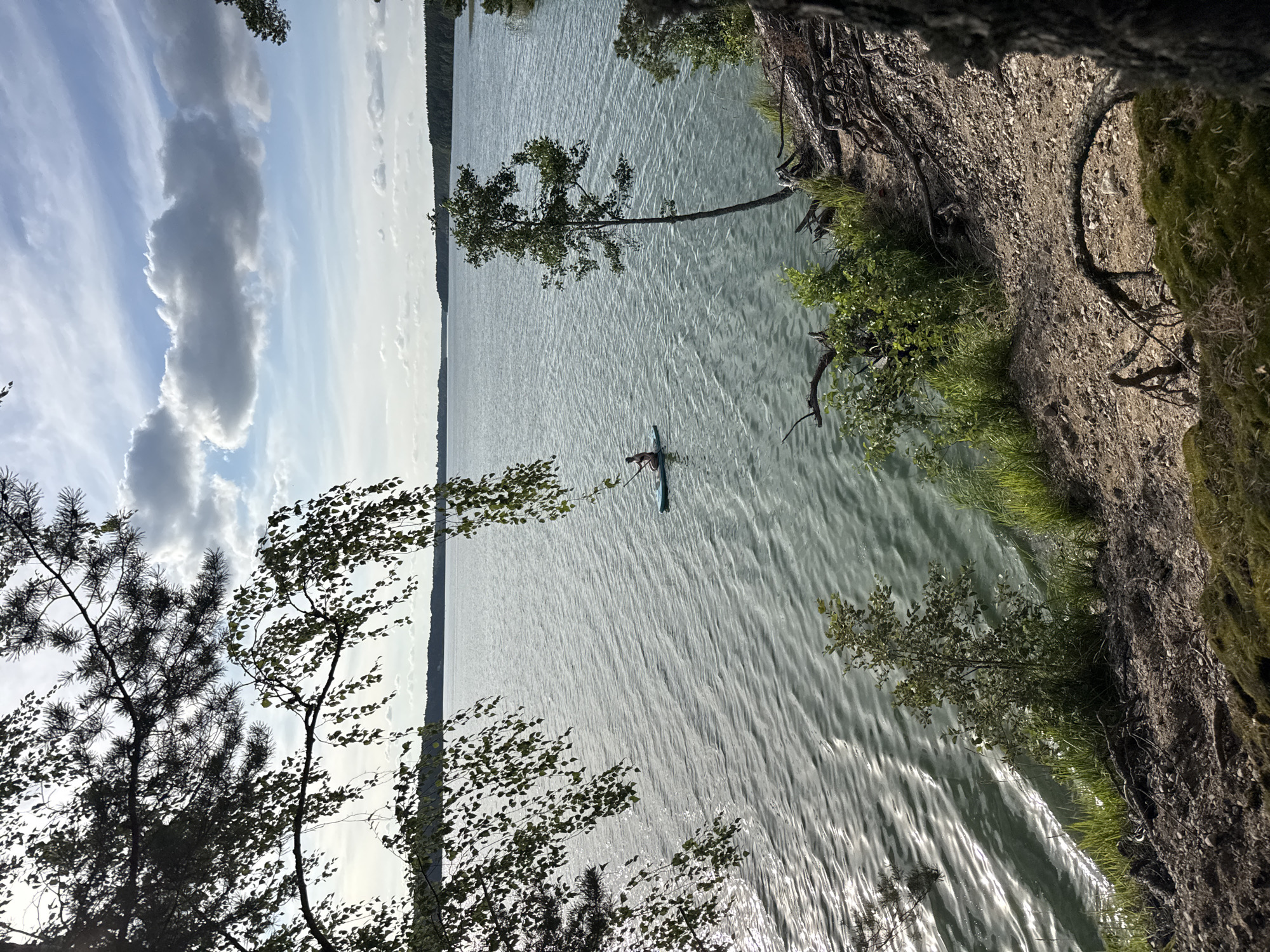 The image depicts a serene natural landscape at Lake Ladoga, near the city of Priladozhskoe, Russia. The foreground is characterized by a steep, wooded embankment covered with moss and exposed tree roots. In the middle ground, a person is seen paddleboarding on the calm, rippling surface of the lake. The water reflects the sky, which is partly cloudy with a mix of white and gray clouds against a pale blue expanse. The background features a distant treeline bordering the lake, with the horizon line visible in the distance. The lighting suggests it is daytime, likely late afternoon, with the sun casting highlights on the water's surface and illuminating the vegetation.