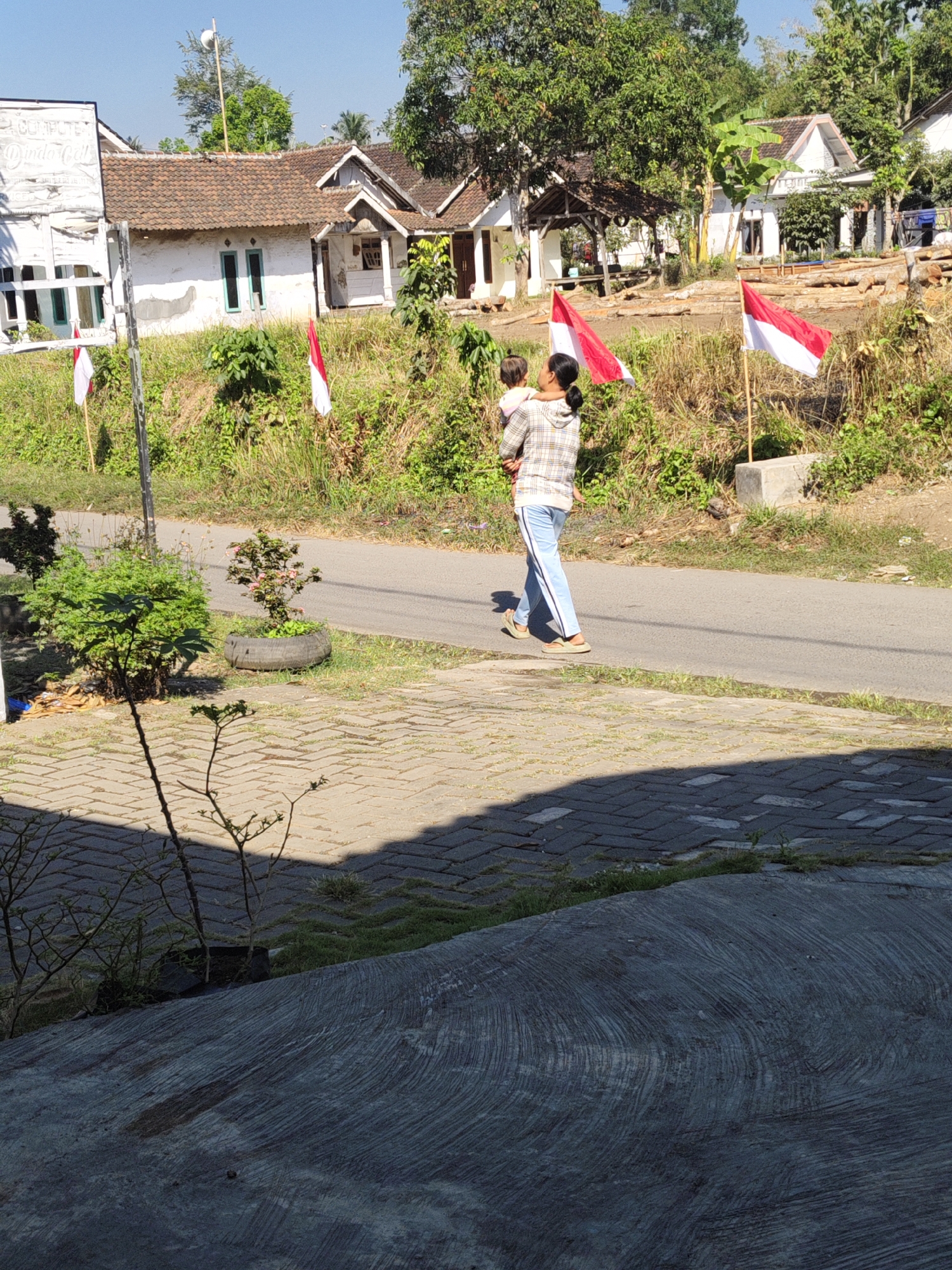A full shot captures a rural scene in Bangsalsari, Indonesia, under a clear blue sky. In the foreground, a textured concrete surface takes up the bottom third of the image, bordered by a herringbone brick pathway and lush green grass. A young sapling with thin branches is centrally located in the foreground.
Midground reveals a paved road, running diagonally across the frame from left to right. A woman, seen from the side and back, carries a young child. She wears a plaid long-sleeved shirt and light blue pants, with light brown sandals. A small potted plant in a tire planter sits on the grass beside the road.
The background features several buildings with white walls and reddish-brown tile roofs, nestled amongst trees and vegetation. Two Indonesian flags, red and white, are prominently displayed on poles in front of the buildings. One flag is near a white signpost partially obscured by grass, and the other is closer to the center of the frame. The overall environment suggests a residential area with a touch of national pride.