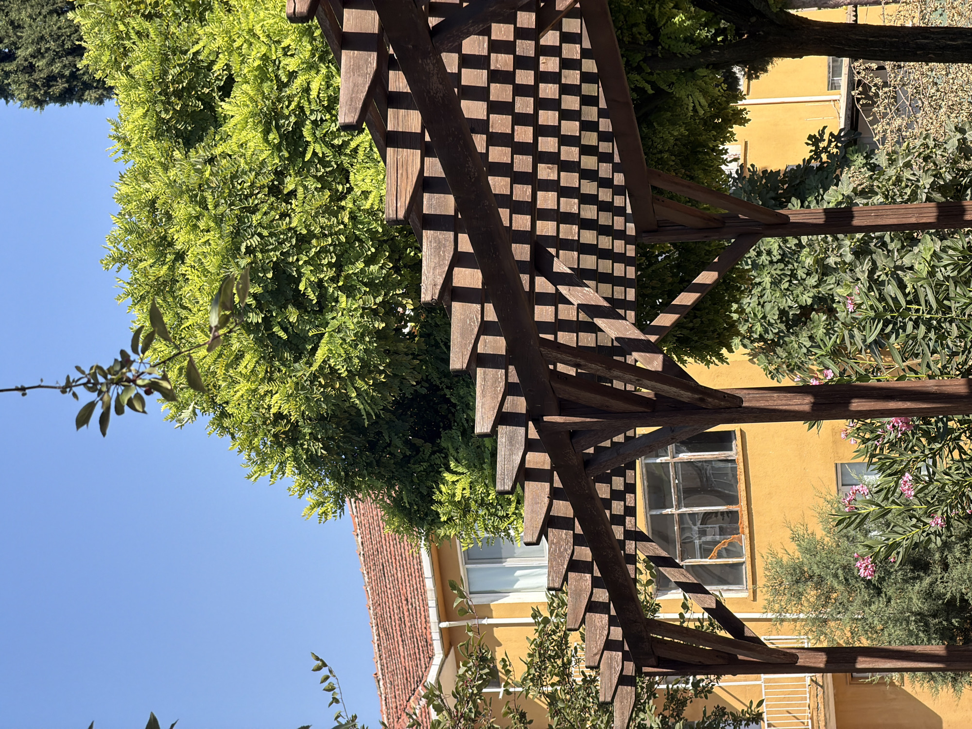 An exterior, eye-level, medium shot captures a sunlit scene with a wooden pergola in the foreground. The pergola features dark brown, weathered wooden beams forming a lattice-like roof, casting sharp shadows. Behind the pergola, a bright yellow, two-story building with a reddish-orange tile roof is visible. The building has several windows, some with white frames and curtains, and one with a rusted metal frame. Lush green trees and bushes surround the building, with a tall evergreen tree visible on the right. Pink flowers are blooming in the lower right portion of the frame. The sky is a clear, bright blue. The image appears to be taken in a residential area, possibly a backyard or garden, in Köprübaşı, Turkey. No people are present in the scene.