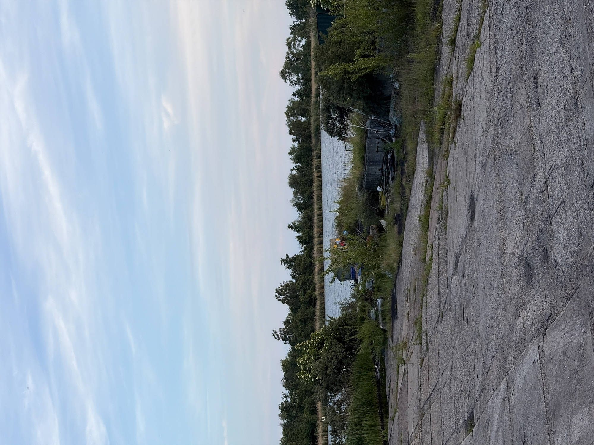 The image depicts a concrete paved area with visible cracks and weeds growing through the seams. This paved area slopes down towards a body of water. On the far side of the water, a dense line of trees forms the horizon. The sky above is a pale blue with scattered wispy clouds. The scene appears to be an abandoned or neglected waterfront area, possibly a disused industrial site or a derelict dock. There are no people or animals visible in the frame. The overall impression is one of decay and overgrowth. This location is identified as being in Baltiysk, Russia.