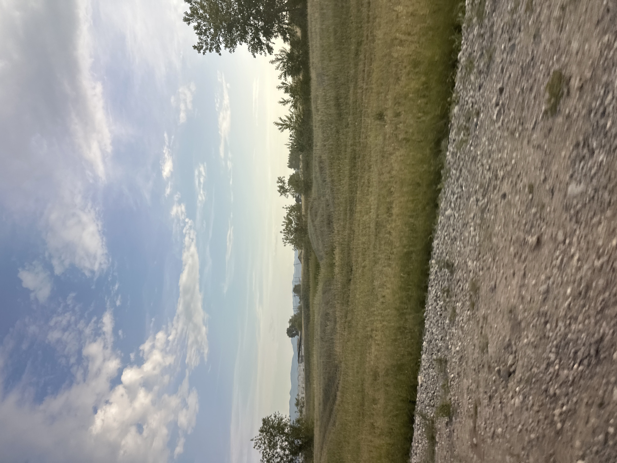 This is a vertical, low-angle, medium-shot photograph taken outdoors. The image is dominated by a wide expanse of dry, golden grass that appears to be a field or meadow. A dirt path covered in gravel runs diagonally across the right side of the frame, leading the eye into the scene. The sky above is a light blue, dotted with scattered white clouds, suggesting a clear or partly cloudy day. In the distance, a line of trees and some hazy mountains can be seen. There are also a few trees in the foreground and mid-ground. The lighting indicates it is likely daytime, possibly late afternoon or early evening, due to the soft, diffused light and the slight haze in the atmosphere. The overall mood is serene and natural, with a sense of open space and tranquility. There is no visible text in the image. The location context provided is Novonikolayevka, Russia, which aligns with the natural, rural landscape depicted.