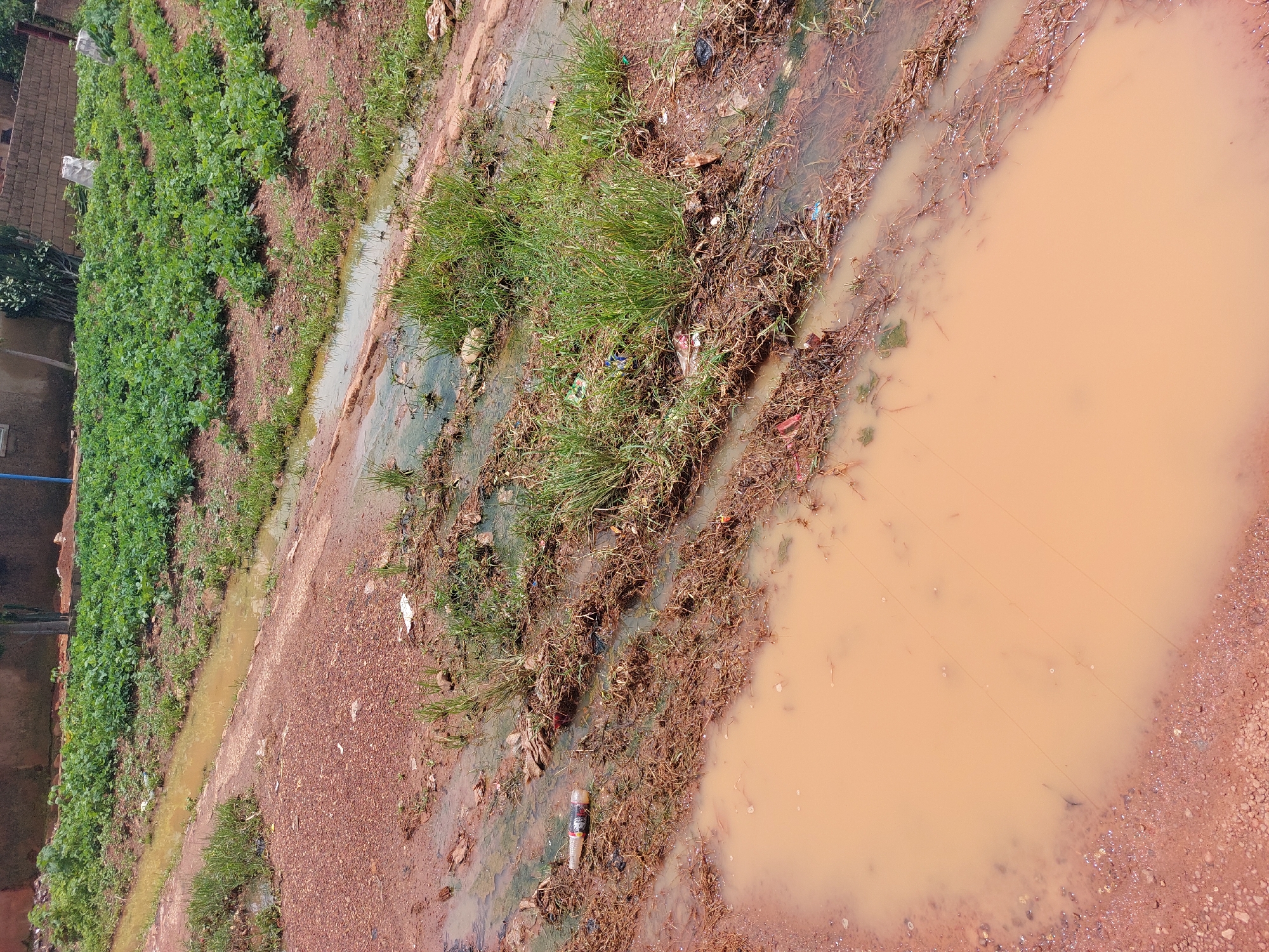 A ground-level, medium shot captures a rural scene in Barakin, Nigeria, after recent rainfall. The foreground is dominated by a large, muddy puddle reflecting the overcast sky, with a dirt path to its left. Beyond the puddle, a muddy rutted path extends towards a patch of lush green crops, possibly vegetables, planted in neat rows on slightly elevated ground. This agricultural plot is bordered by a shallow, murky drainage channel containing some debris and vegetation. The path is littered with dry grass, twigs, and scattered pieces of plastic waste, indicating a lack of proper waste management. A discarded plastic bottle lies near the edge of the path. The background shows a low, brick-and-plaster building with a tiled roof and a few trees. The overall impression is one of a functional, yet unkempt, rural setting with signs of agricultural activity and environmental challenges.