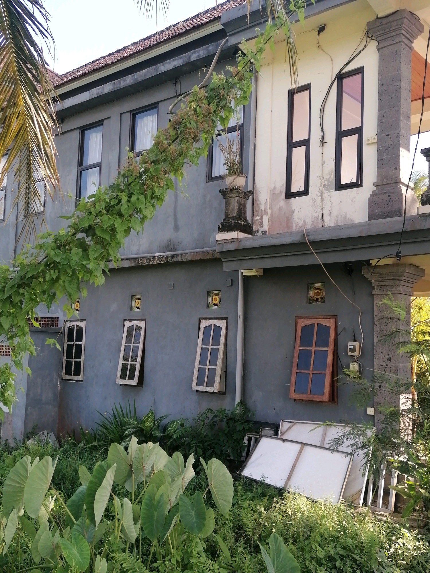 In Ubud District, Indonesia, a two-story building with a gray lower level and a cream-colored upper level is situated amidst lush greenery. The building features multiple windows, some with dark frames and tinted glass, others with white wooden frames, one of which is ajar. A vine with abundant green leaves winds its way across the building's facade. The foreground is dominated by large, heart-shaped green leaves of taro plants and other dense foliage. Two white rectangular objects, possibly canvases or framed artwork, lean against the building's lower section, partially obscured by the vegetation. A stone pillar with a textured surface stands to the right of the building. Electrical wires are visible on the exterior wall of the upper story. The sky above is mostly clear with a hint of blue.