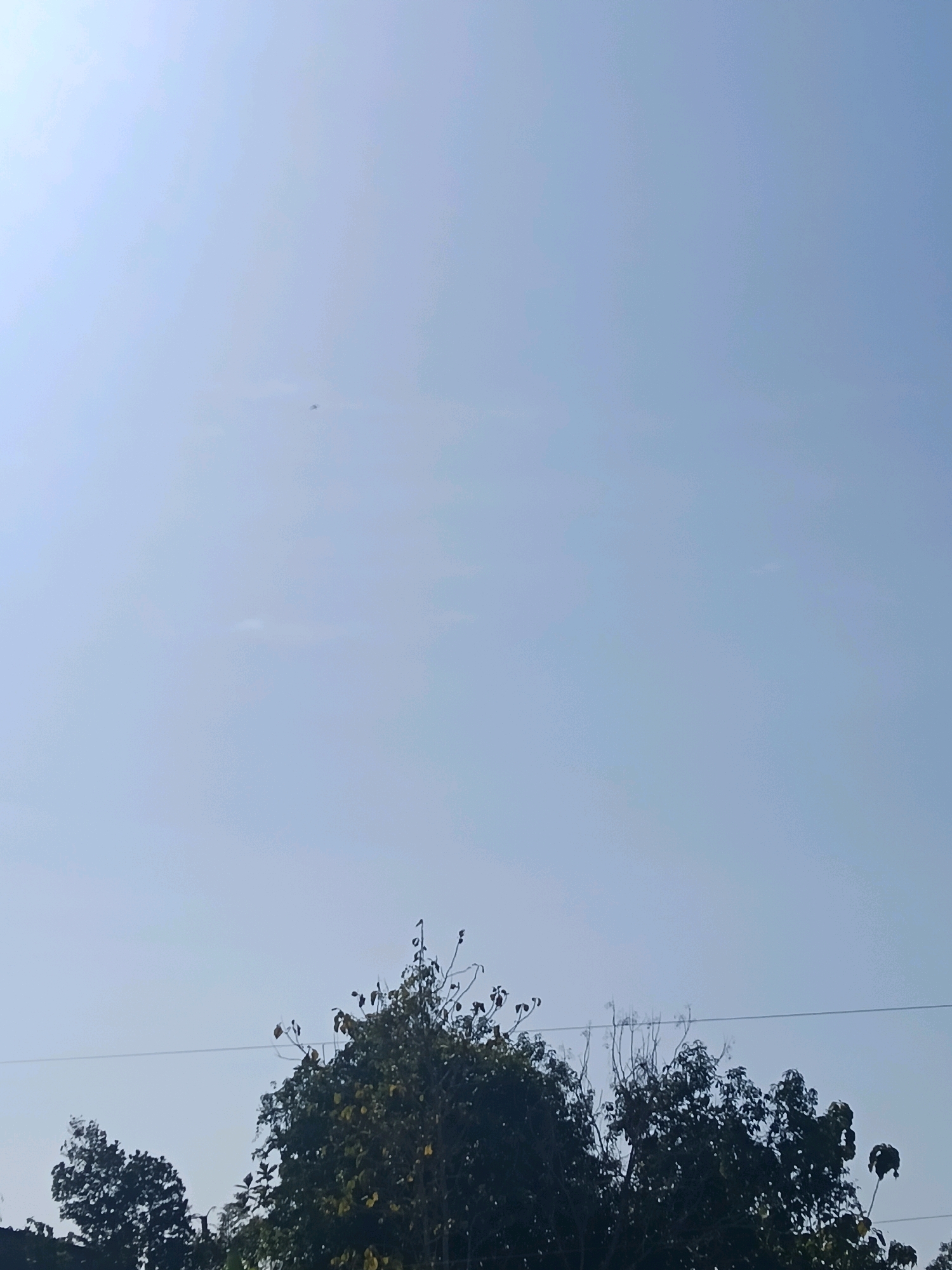 A wide shot captures a clear, pale blue sky over Galuk, Indonesia. A few faint, wispy clouds are scattered in the upper portion of the frame. Towards the left side of the sky, a small, dark object, possibly a bird or an aircraft, is visible. Below the sky, the tops of several lush, green trees are seen, their branches reaching upwards. A thin, dark horizontal line, likely a power line, stretches across the image above the trees. The overall scene suggests a bright, clear day with minimal activity.