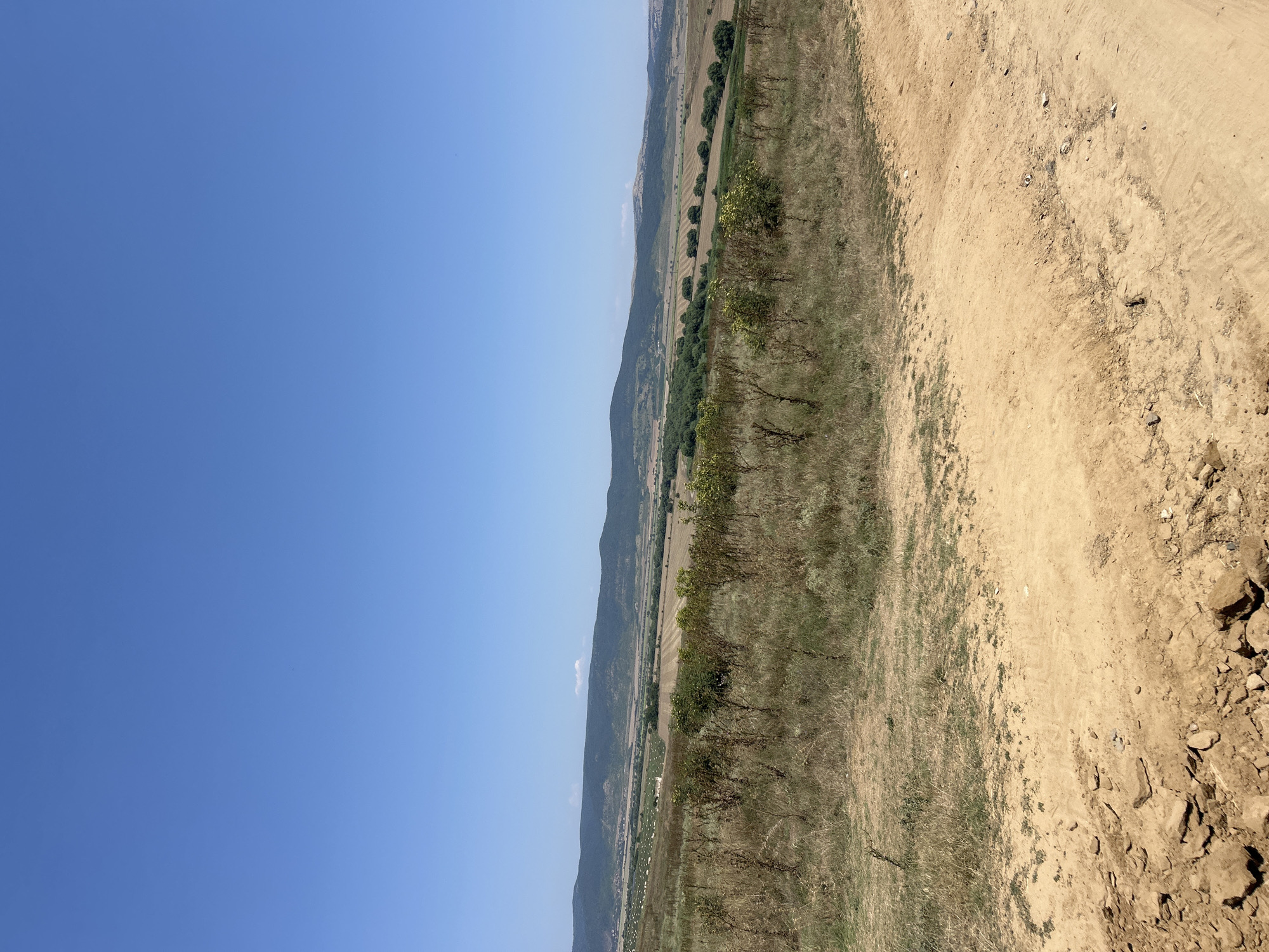 The image depicts a vast, sun-drenched landscape under a clear, bright blue sky. The foreground is dominated by a dry, dusty dirt road with loose rocks and sparse, parched vegetation. In the middle ground, there is a field of dry grasses and scattered, spindly bushes, some appearing brown and withered. Beyond this, a fertile valley unfolds, characterized by cultivated fields with rows of crops, some appearing golden and harvested, interspersed with patches of green vegetation and a line of trees. In the distance, rolling hills form a natural backdrop, their slopes covered in a mix of vegetation and possibly some settlements or structures. The scene suggests a rural setting in a dry climate, likely during the late summer or early autumn. The location is identified as Poroy, Bulgaria. There are no people or animals visible in the image. The overall impression is one of a remote and arid agricultural region.