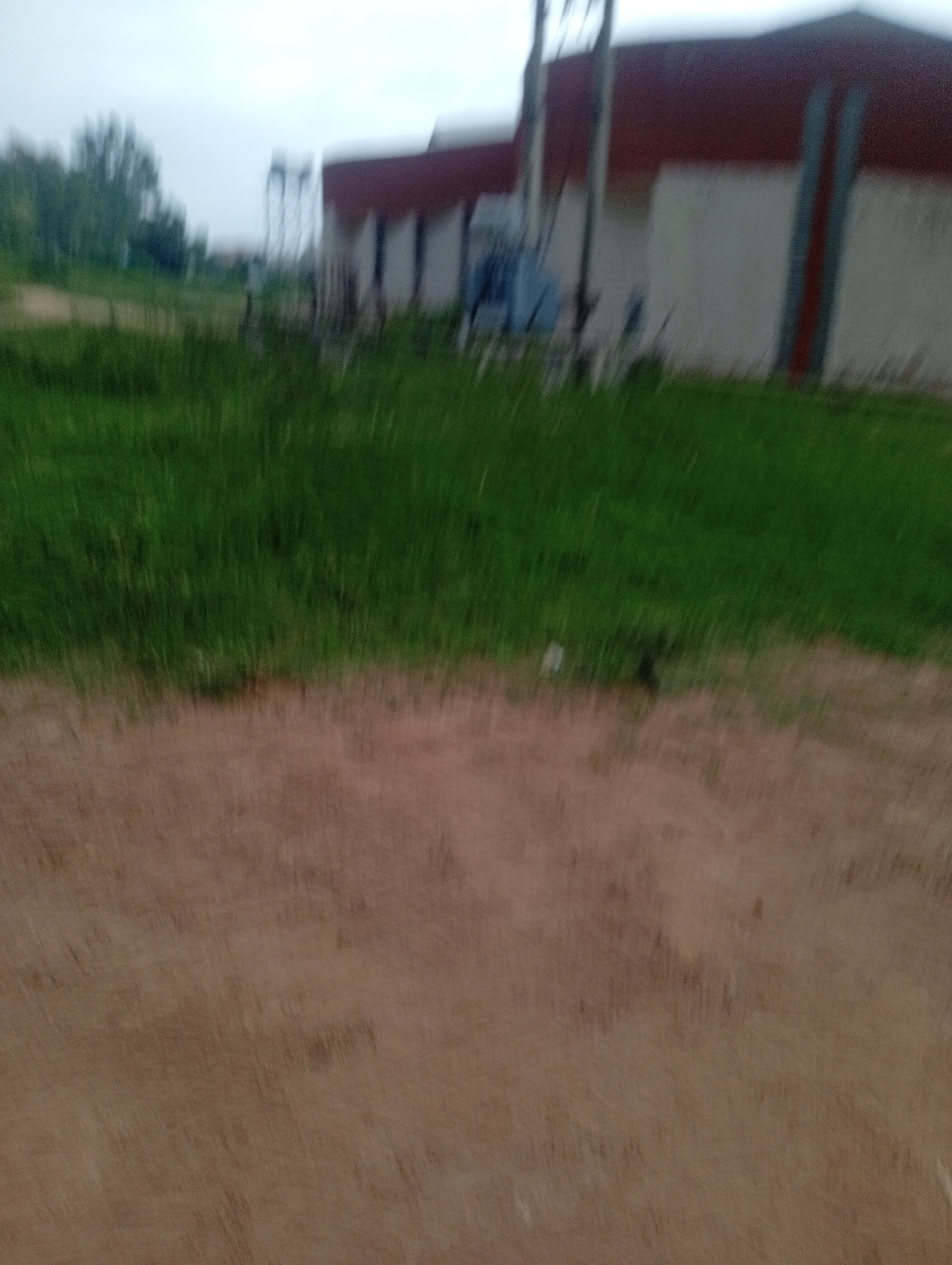 The image depicts a blurry outdoor scene that appears to be in Jos, Nigeria. In the background, a building with a reddish-brown roof and light-colored walls is partially visible. Some vertical structures, possibly pillars or window frames, are discernible on the building's facade. To the left of the building, a water tower or a similar structure with a lattice-like design can be seen against a hazy sky. A patch of green grass or vegetation occupies the middle ground, extending towards the foreground. The foreground consists of a dusty or sandy area with a light brown hue, showing some texture and debris. The overall image quality is low, with significant motion blur, making it difficult to identify specific details of people or objects. The lighting suggests it might be overcast or dusk.