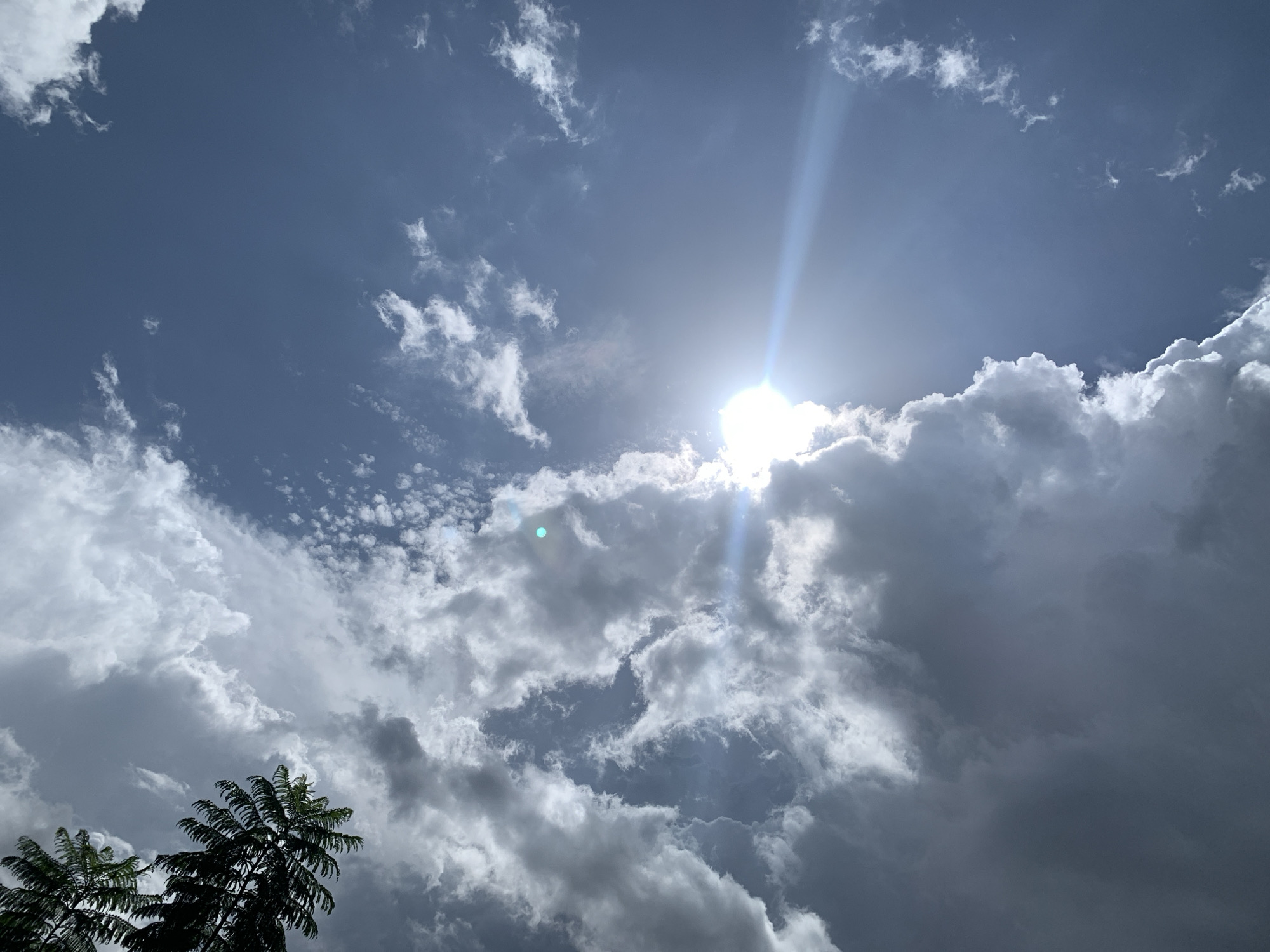 The image shows a sky with cumulus clouds and the sun shining brightly, creating a sunburst effect. In the lower left corner, the fronds of two trees are visible against the sky. The overall impression is a bright, partly cloudy day. There are no people or man-made objects clearly depicted in the image, apart from the hint of trees which could be in an urban or natural setting. The provided crop hints do not add context to a specific location within Kuru Karama, Nigeria.