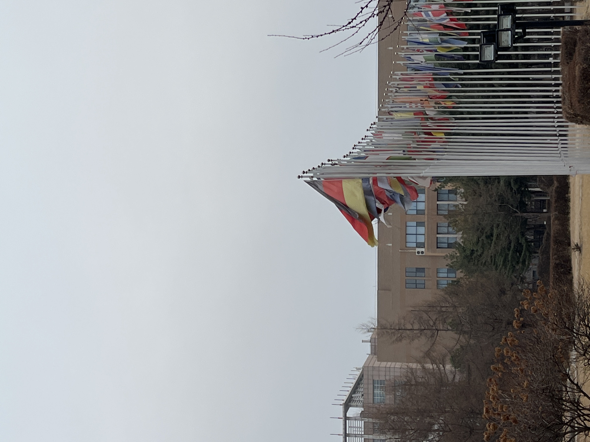 The image shows a row of flagpoles with international flags, most likely representing different countries, in Changchun City, China. The flags are fluttering in what appears to be a windy condition. Behind the flags is a multi-story building with a light-colored facade and windows. The foreground contains bare tree branches and bushes, suggesting it might be winter. The sky is overcast and gray, indicative of a cloudy day.