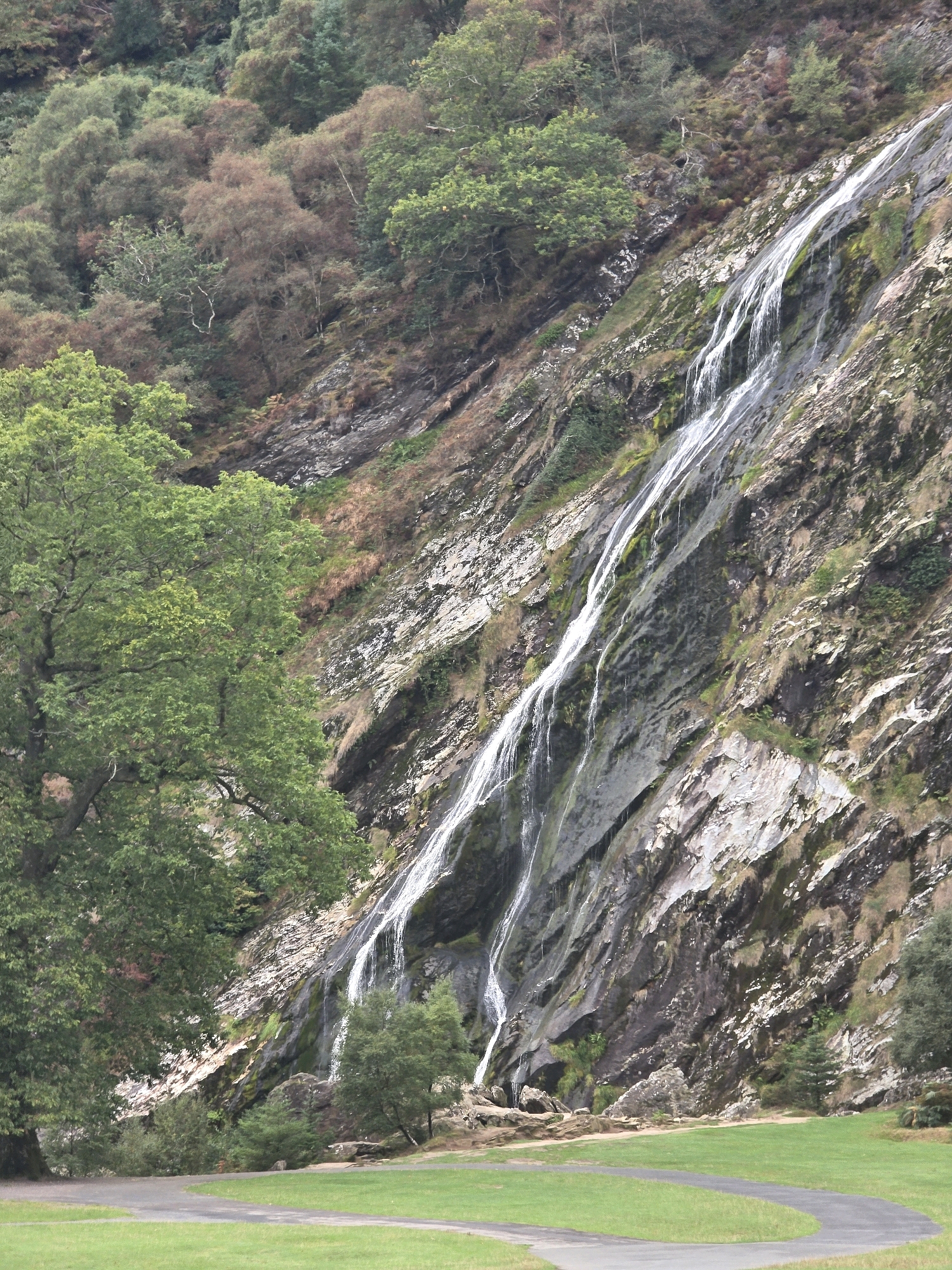 The image shows a cascading waterfall on a steep, rocky incline covered in moss and vegetation. The waterfall flows down a narrow, central channel, with smaller streams branching off to the sides. The surrounding landscape is densely forested with a mix of deciduous and coniferous trees. In the foreground, a lush green lawn slopes gently, with a paved path winding through it. The sky is overcast, suggesting a cool, temperate climate. The scene is a natural landscape, likely a park or nature reserve, and appears to be in a rural area of Ireland, potentially near Old Long Hill, given the typical Irish scenery of waterfalls and dense forests. No people or specific objects are visible that would indicate a particular activity or event.