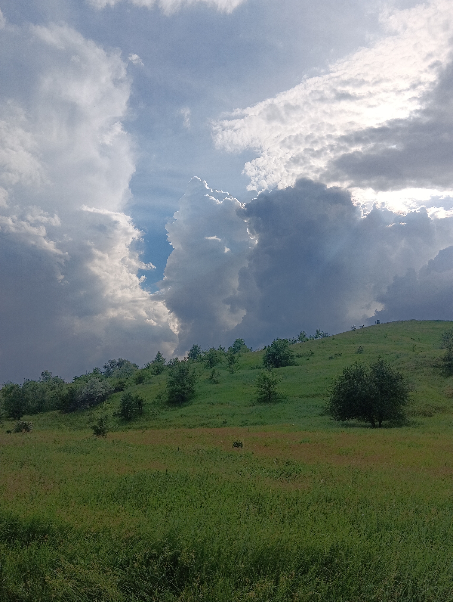 The image depicts an outdoor natural landscape in the city of Unknown, Unknown. The upper two-thirds of the frame are dominated by a dramatic sky filled with large, dynamic cumulus and stratocumulus clouds, exhibiting varied illumination. On the left, clouds are bright white and grey, suggesting strong overhead light. Towards the middle and right, the clouds appear darker and denser, with prominent sunbeams (crepuscular rays) piercing through gaps, indicating a partially obscured sun or shifting weather conditions. A distinct vertical rift of bright blue sky is visible between two large cloud masses in the upper center.
The lower third of the image presents a lush green landscape. A verdant hill slopes upward from the left to the right, covered in dense green grass and numerous scattered trees and bushes of varying sizes. The trees feature full, dark green foliage. The foreground consists of a wide field of tall, green grass, exhibiting slight variations in texture and color. A single, isolated tree with a full, rounded canopy stands prominently in the right-middle of the foreground, near the base of the hill. No human subjects, animals, or artificial structures are visible.