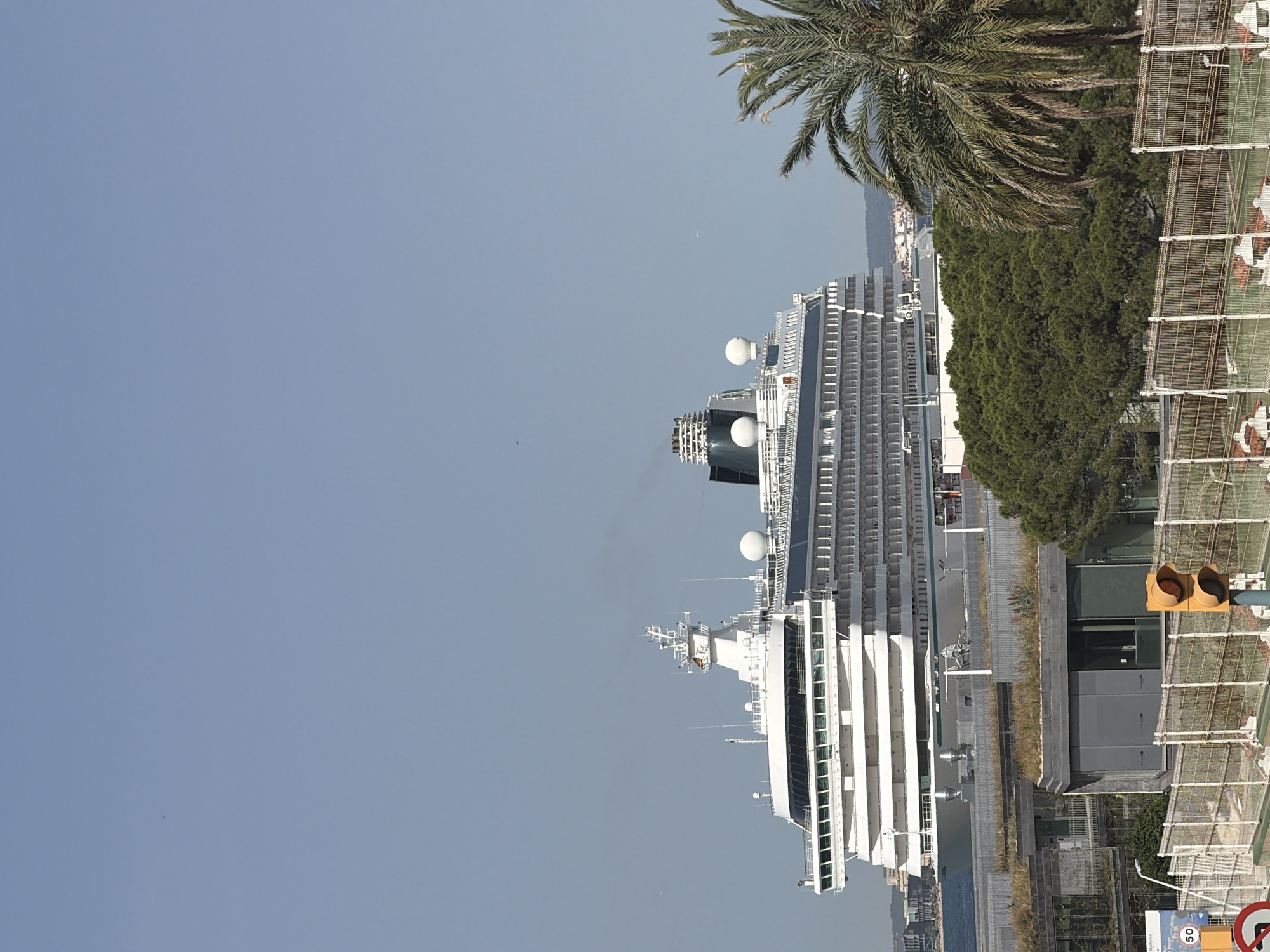 A large, white cruise ship is docked in the port of Palma, Spain. The ship is seen from the side, with its numerous decks and windows visible. In the foreground, there are modern buildings with green roofs, a palm tree, and a traffic light. The sky is clear and blue.