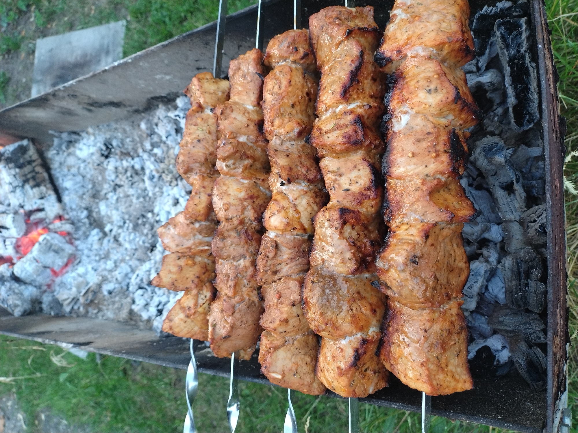 A close-up, eye-level shot shows four metal skewers loaded with pieces of grilled meat in a barbecue grill. The meat, appearing to be pork, is cut into uniform cubes and is a golden brown color with some charring on the edges. The skewers are arranged horizontally, with one skewer on top, followed by three more below it, creating a layered effect. The grill itself is made of dark metal and is filled with charcoal, some of which is glowing red, indicating that it is hot and the meat is actively being cooked. The background consists of green grass and the edge of the grill, suggesting an outdoor setting. There are no people or other animals visible in the image. The lighting is natural, and the focus is on the food.