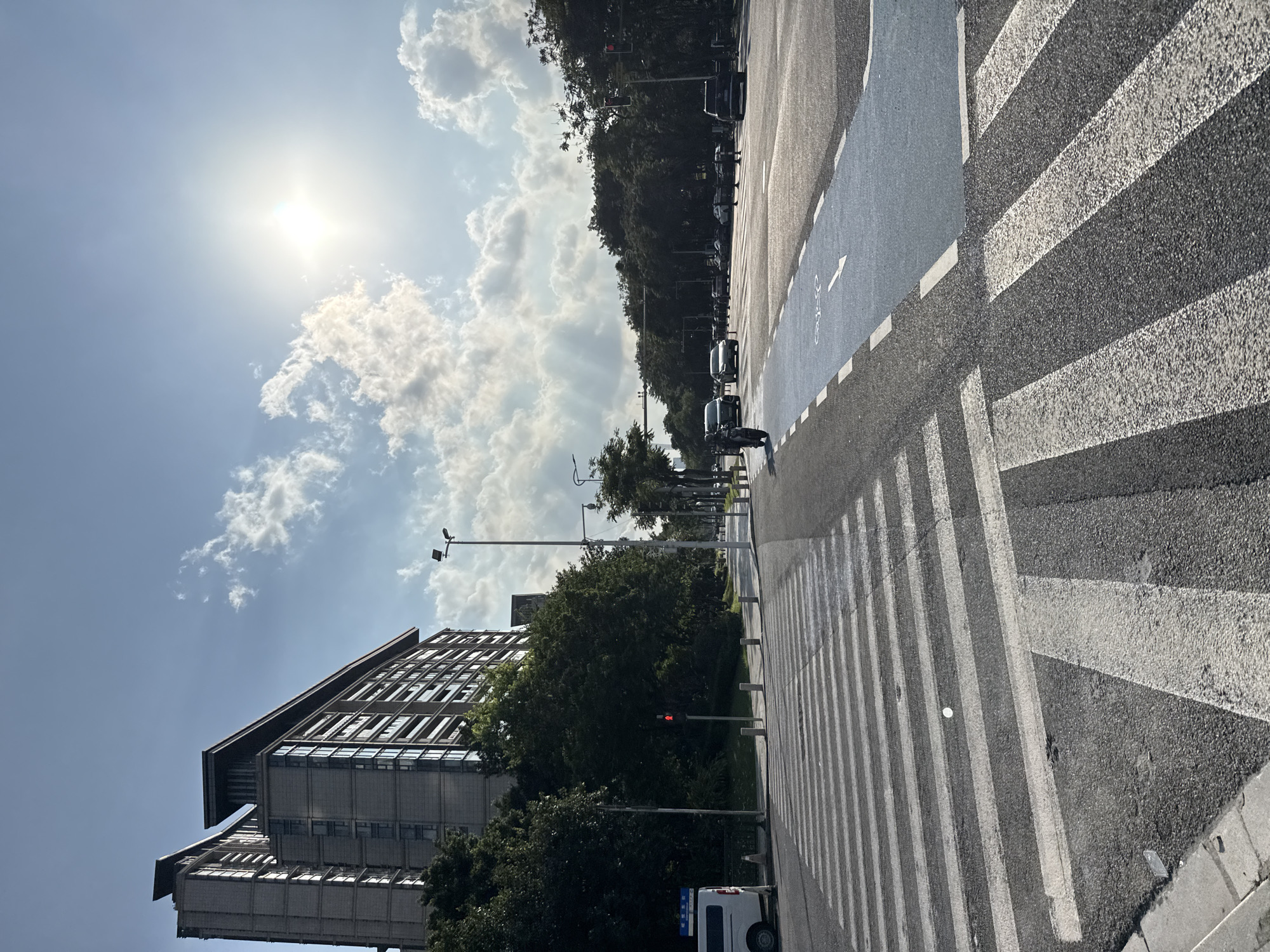 This image depicts a street scene in Haizhu District, China, under a bright, partly cloudy sky with the sun visible and casting rays. A pedestrian crosswalk with white stripes dominates the foreground. To the left of the crosswalk is a white van parked near a sidewalk. A red pedestrian traffic signal is visible on a pole to the left of the crosswalk. Further down the street, a blue bike lane with a bicycle symbol and arrow is present. Several cars and a scooter are on the road. Tall, modern buildings with multiple windows line the left side of the street, partially obscured by lush green trees. Streetlights and traffic signals are also visible along the road.