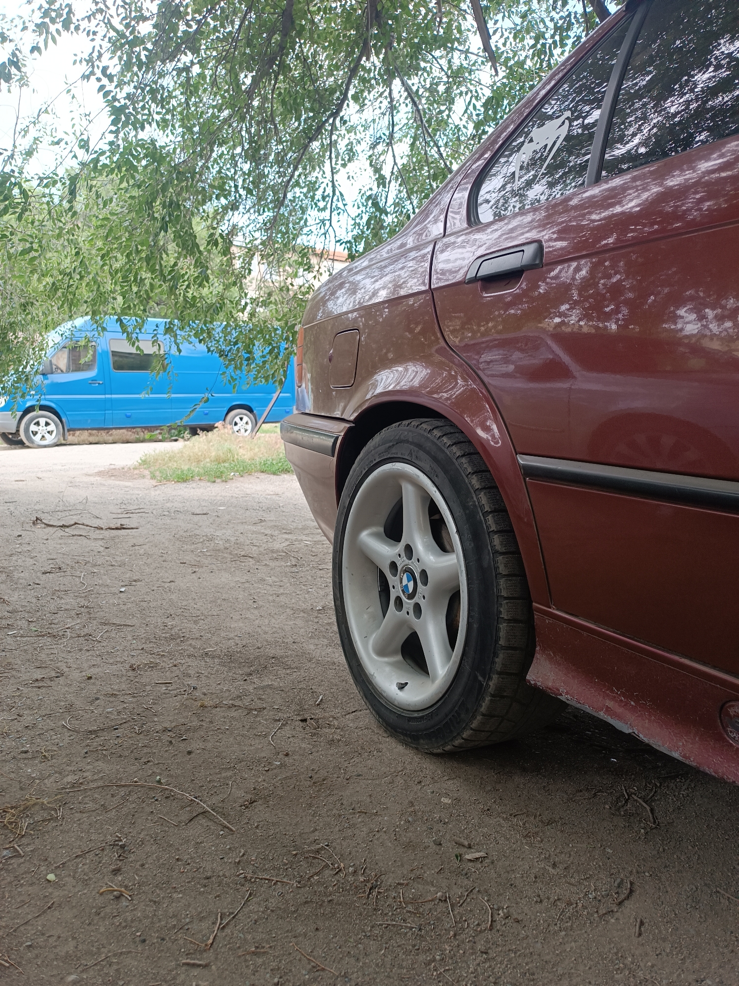 The image shows the rear wheel and side panel of a dark red BMW sedan parked on a dirt lot. The car has a five-spoke alloy wheel with a BMW logo in the center. The car's paint is slightly faded and appears to have some dirt on the lower body panels. A white decal or sticker, partially obscured by a tree branch, is visible on the rear passenger window. In the background, a bright blue van is parked behind the BMW, with its front end visible. The ground is covered in dirt and scattered dry twigs. Lush green leaves from overhanging tree branches dominate the upper portion of the image, casting shadows on the scene. The lighting suggests it is daytime, likely with overcast or partly cloudy skies. The setting appears to be an outdoor parking area or a less-maintained lot, possibly in a rural or semi-urban environment. There is no text visible in the image.
