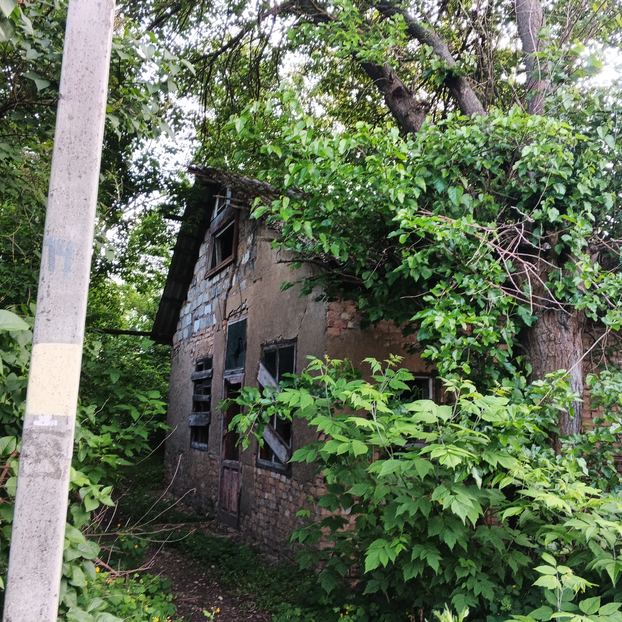 The image depicts an abandoned brick house overgrown with vegetation, located in Smila, Ukraine. A concrete utility pole stands in the foreground on the left side of the frame. The house, partially obscured by dense green foliage, shows signs of decay, including a damaged roof and broken windows with some boarded up. The brickwork of the house is visible in several areas. The surrounding environment is lush with trees and bushes, indicating a naturalized setting. The lighting suggests it is daytime, possibly late afternoon or early morning, with dappled light filtering through the leaves. There are no people visible in the image. The overall scene conveys a sense of neglect and the passage of time.