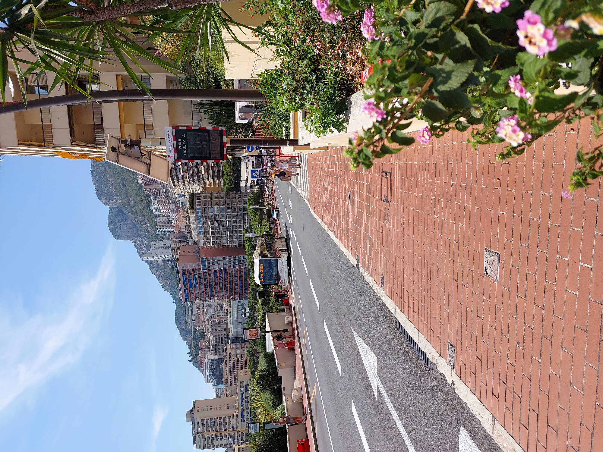 The image depicts a sunny day on a wide road in Monaco. The road is bordered by a brick sidewalk adorned with flowering plants. In the background, a dense urban landscape of multi-story buildings climbs up a steep mountainside. A white bus with "6 Port Casino" displayed on its front is traveling on the road. Two individuals are visible at a crosswalk. On the sidewalk, a solar-powered digital display with French text, likely indicating traffic information, is mounted on a pole. A palm tree and other lush vegetation are prominent in the foreground and along the right side of the frame.