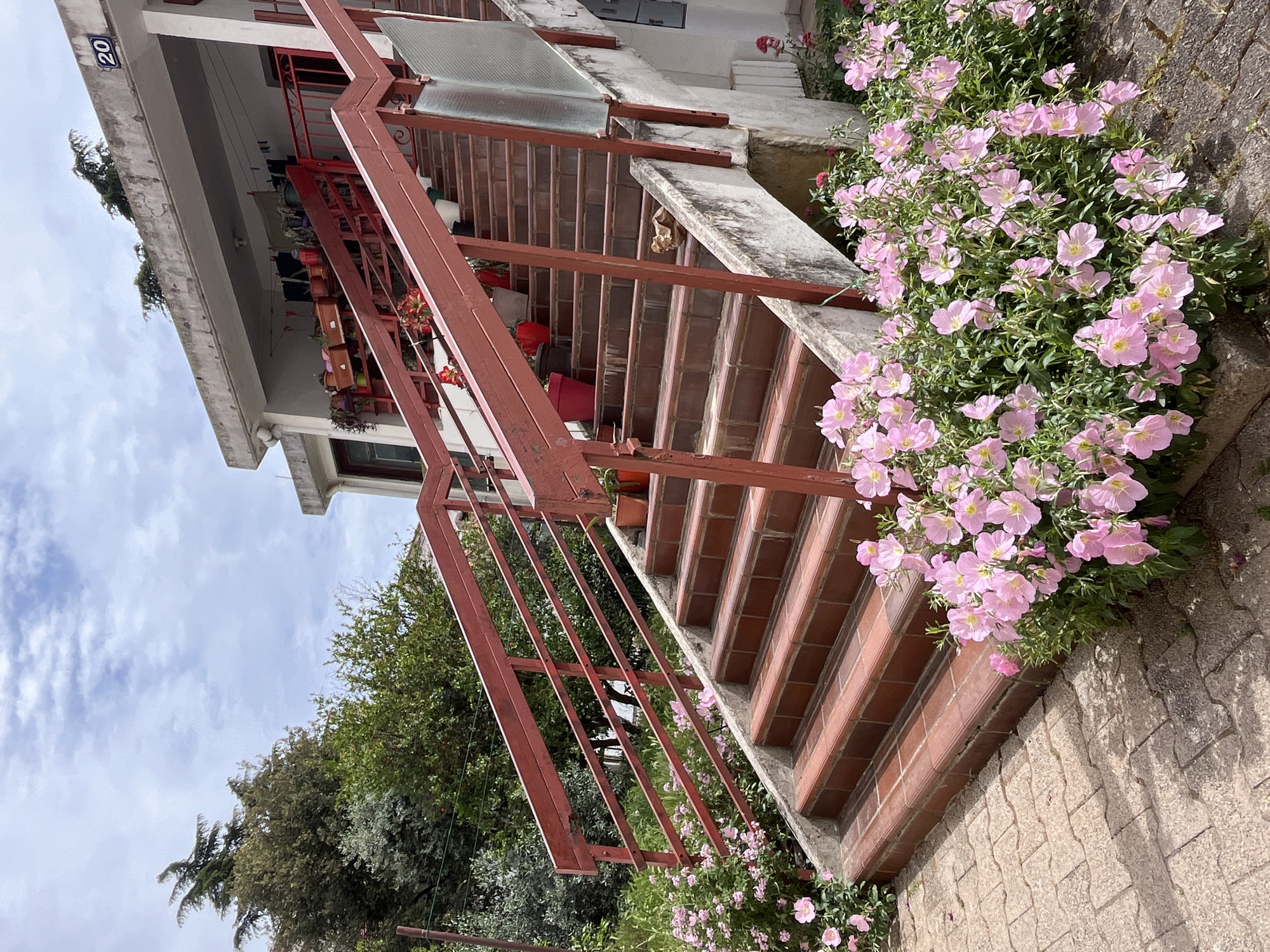 The image depicts an outdoor staircase adjacent to a house, possibly located in a residential area. The stairs are constructed of red brick with a painted red metal railing. Abundant pink flowers are growing on the right side of the stairs. The house is painted white and has potted plants on the upper level. A partially visible sign with the number "20" is attached to the house. Green foliage and trees can be seen in the background. The sky is partially cloudy. Although the location is suspected to be Budva, Montenegro, there is no definitively confirming features.