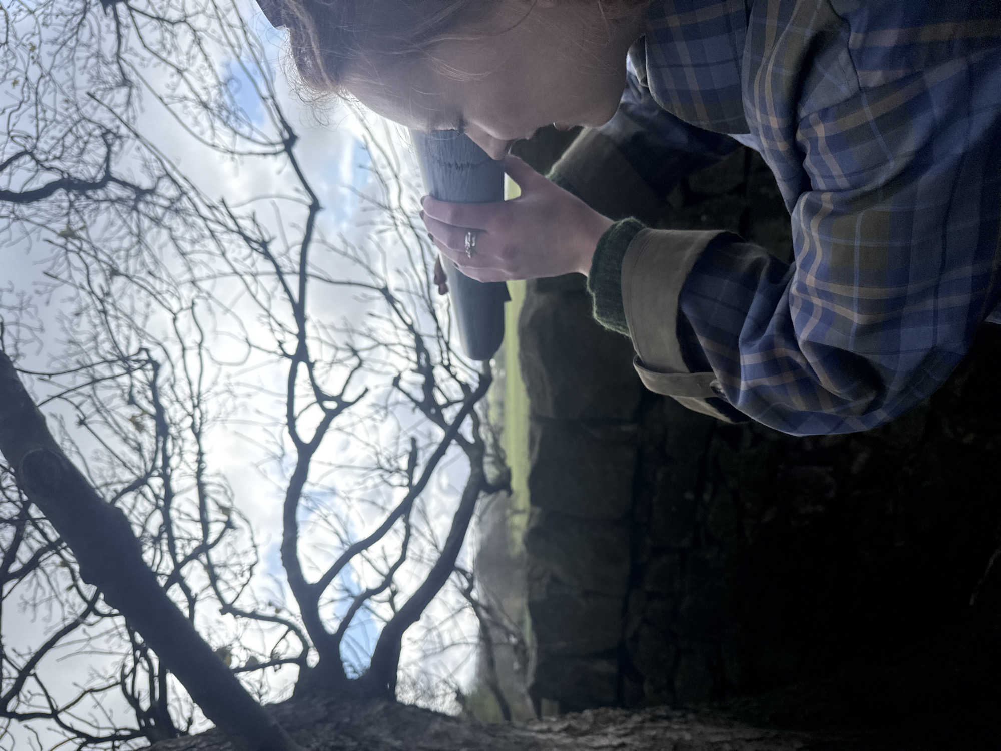 A woman is looking through a cylindrical object in an outdoor setting. She is wearing a blue and brown plaid shirt with green trim around the cuffs and a ring on her finger. Her gaze is directed toward the cylindrical object she holds with both hands. In the background, there are bare tree branches against a cloudy sky, as well as a stone wall with some green vegetation visible on top. The location is unknown.
