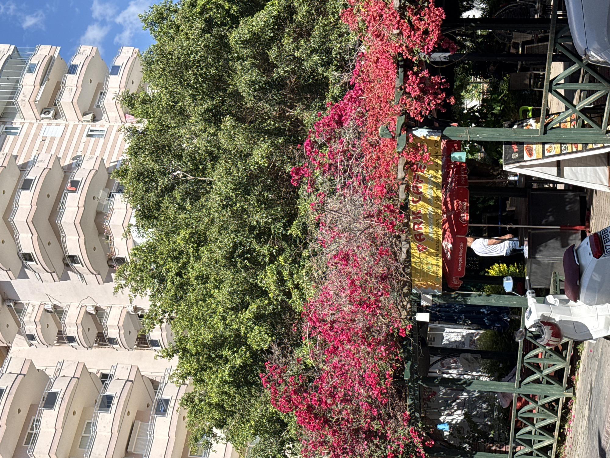 The image depicts a street scene in an unknown city, showing a multi-story building on the left with balconies, trees and flowering shrubs in the middle, and a business establishment on the right. A white scooter is parked near the business, and a man in a white shirt is standing inside. Signage is visible on the business, with colors of red, yellow, and black. The sky is partially visible with blue and white clouds.