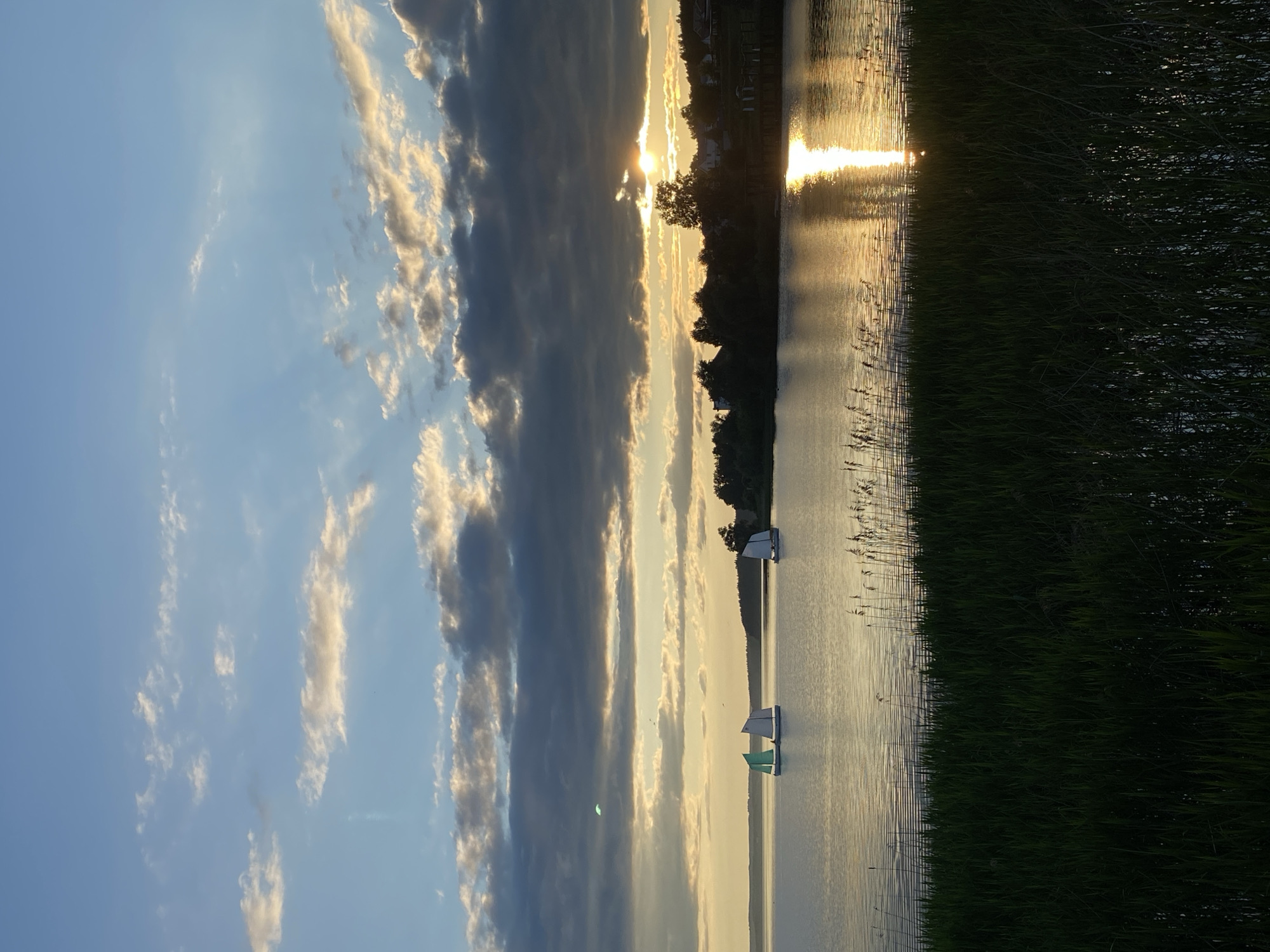 The image captures a tranquil lake scene in Votkinsk, Russia, bathed in the warm light of either sunrise or sunset. The sky displays a clear blue expanse on the left, gradually transitioning to a golden-orange glow towards the right horizon. Scattered clouds traverse the sky; some are brightly illuminated with warm hues, while others appear darker, contrasting with the radiant light.
A prominent sunburst emerges from behind a distant treeline on the right, casting a brilliant, shimmering reflection across the calm waters of the lake. This reflection forms a distinct path of light stretching towards the foreground. Two small, stationary boats are visible on the water: one appears entirely white or light grey, and the other features a white top section with a green hull, likely pedal boats or similar recreational craft.
The immediate foreground on the right is dominated by a dense growth of dark green reeds or tall grass along the shoreline, creating a textured edge to the water. The distant shoreline presents a silhouette of trees interspersed with what appear to be houses or other structures, subtly illuminated by the backlighting of the low sun. No people or visible text are present in the image. The overall impression is one of serene natural beauty and peacefulness.