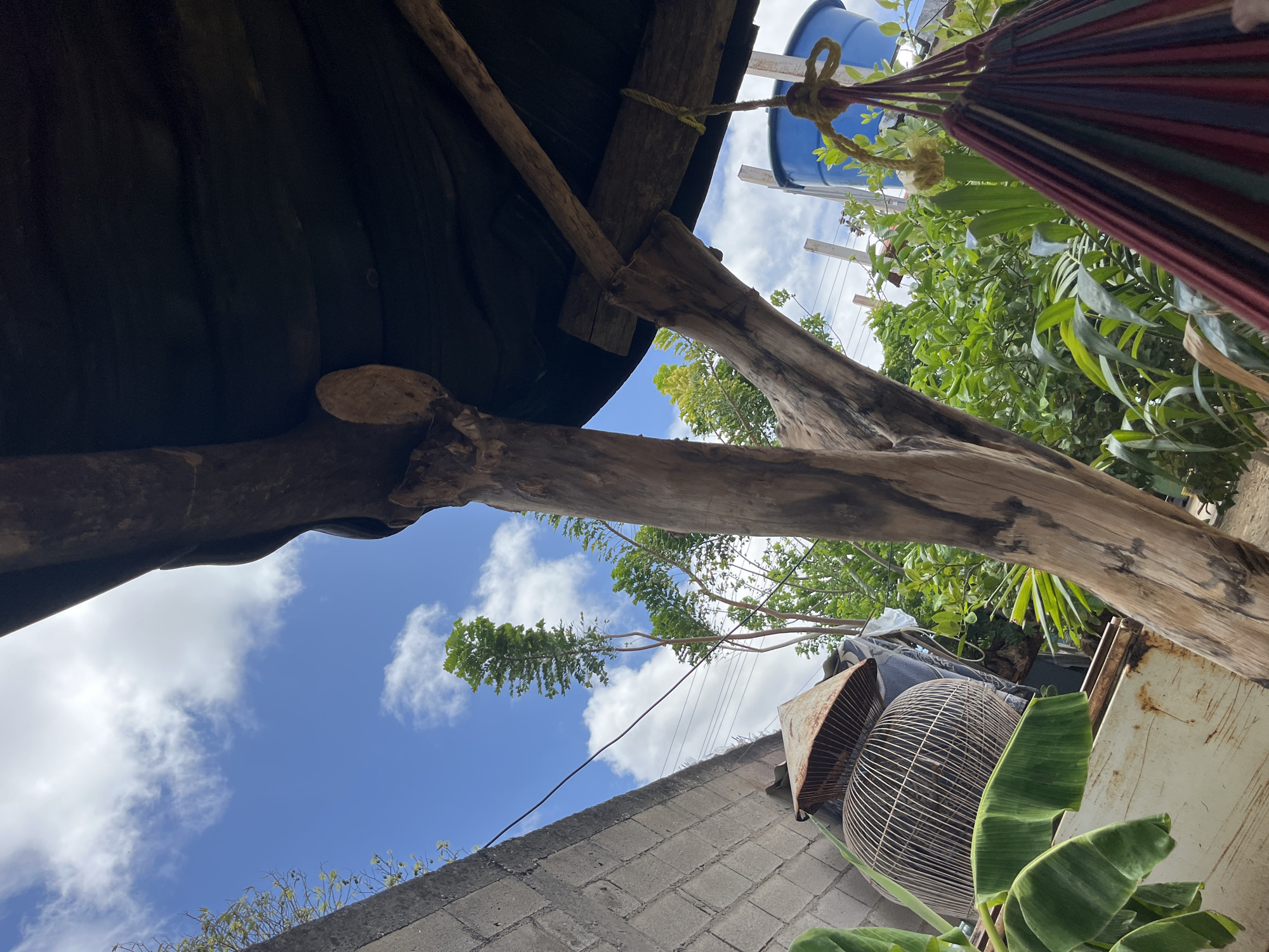 The image captures a sunlit outdoor scene, likely in Juan Griego, Venezuela, featuring a rustic, partially covered outdoor area. Prominently in the foreground, a large, weathered wooden post supports a dark, fabric-covered roof structure. To the left, a section of a grey, cinder block wall is visible. In front of the wall, a large, dome-shaped birdcage made of wire mesh sits atop a piece of rusty metal, with large green banana leaves extending into the frame. Behind the birdcage, a tall, slender green tree reaches towards a bright blue sky dotted with white, fluffy clouds. To the right of the wooden post, more lush green foliage is visible, with a blue plastic water tank and a striped hammock hanging in the background. The overall impression is one of a simple, possibly rural or semi-rural, outdoor living space.