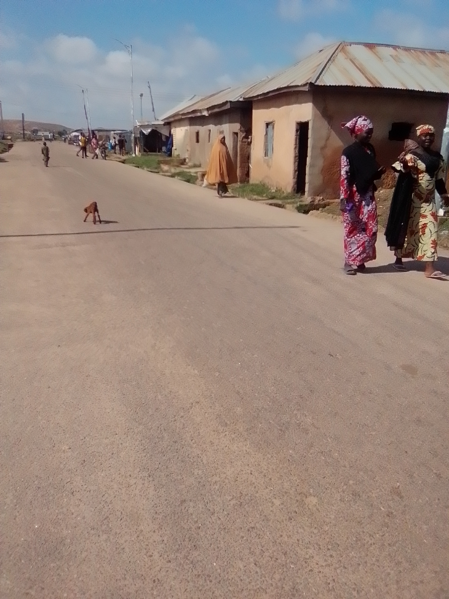 The image depicts a street scene in Gombe, Nigeria. In the foreground, a small, light brown animal, possibly a dog, is standing on the asphalt road, casting a shadow. Further down the road, to the right, two women are standing and interacting. Both are wearing traditional Nigerian attire. The woman on the left is wearing a vibrant, patterned dress with a black headscarf and a black garment over her shoulders. The woman on the right is wearing a cream-colored dress with a colorful floral pattern and a headscarf. Behind them, several single-story buildings with corrugated metal roofs are visible. The buildings appear to be constructed of earth or mud. The sky is blue with scattered white clouds. In the background, other people and buildings are present, suggesting a populated urban or semi-urban environment. Streetlights are also visible along the road. The overall impression is of a sunny day in a modest neighborhood.