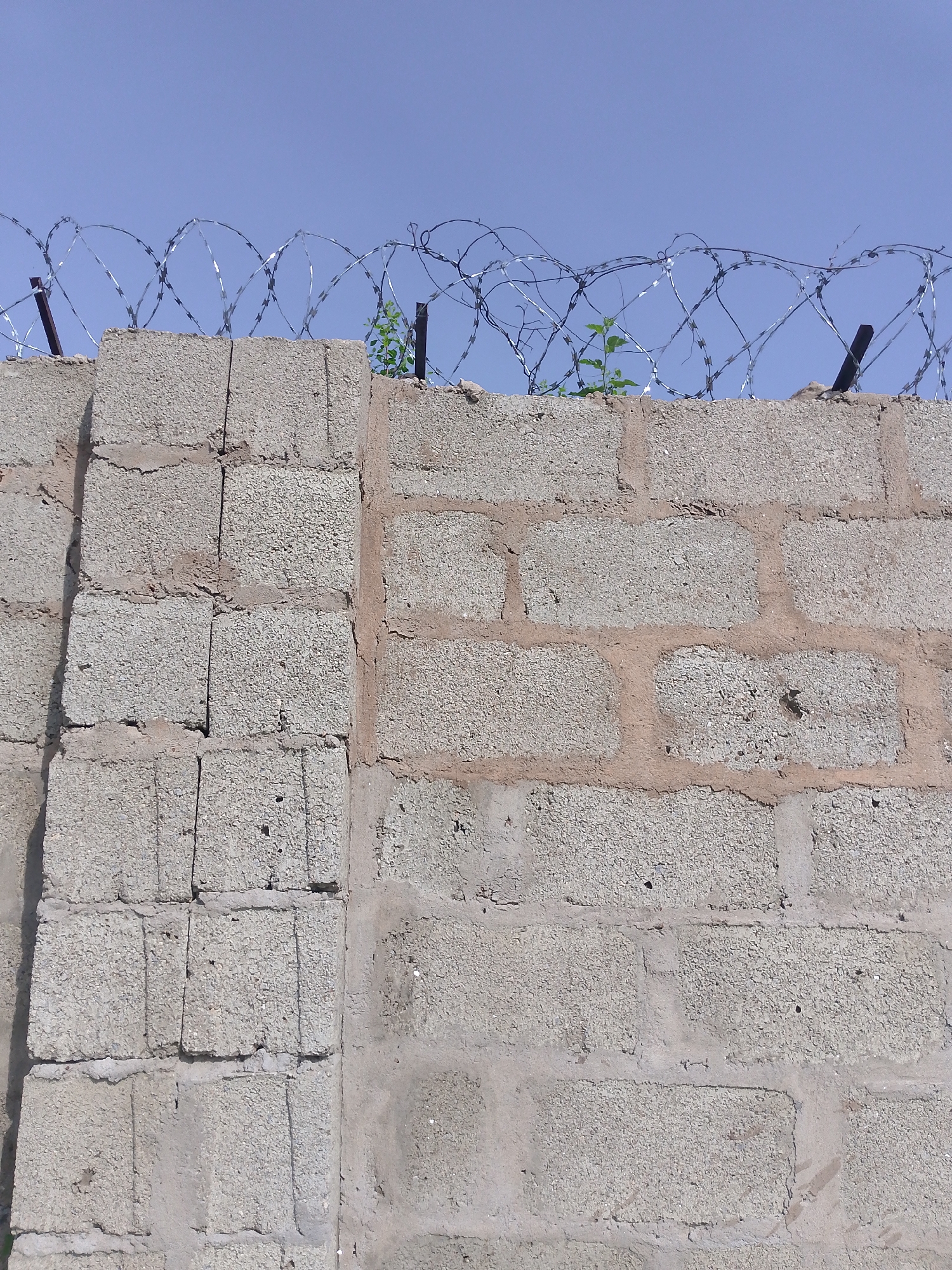 A wall made of rough, gray concrete blocks is topped with a coil of razor wire against a clear blue sky. The razor wire has sharp, spiraling blades and is supported by metal posts. A small, green plant is growing out of the top of the wall, near the razor wire. The wall appears to be a security barrier. The image was taken in the city of Keffi, Nigeria.
