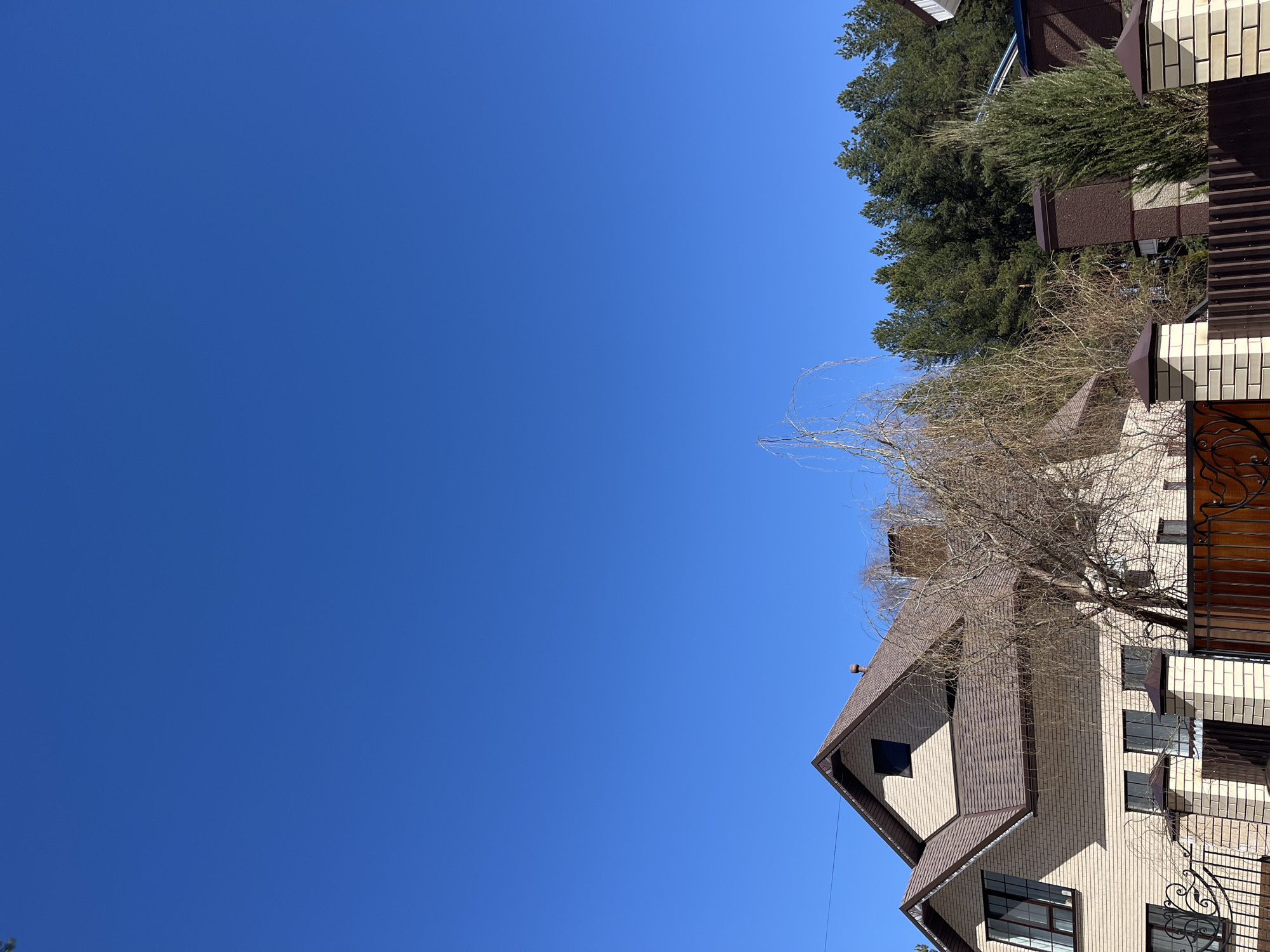 The image shows a clear blue sky occupying most of the frame. In the lower right corner and extending towards the top is a multi-story building constructed of light-colored brick with brown roof shingles. Bare tree branches are visible in front of the building. Coniferous trees and another brick building can be seen in the upper right. The location is indicated as Chaikovsky, Russia.
