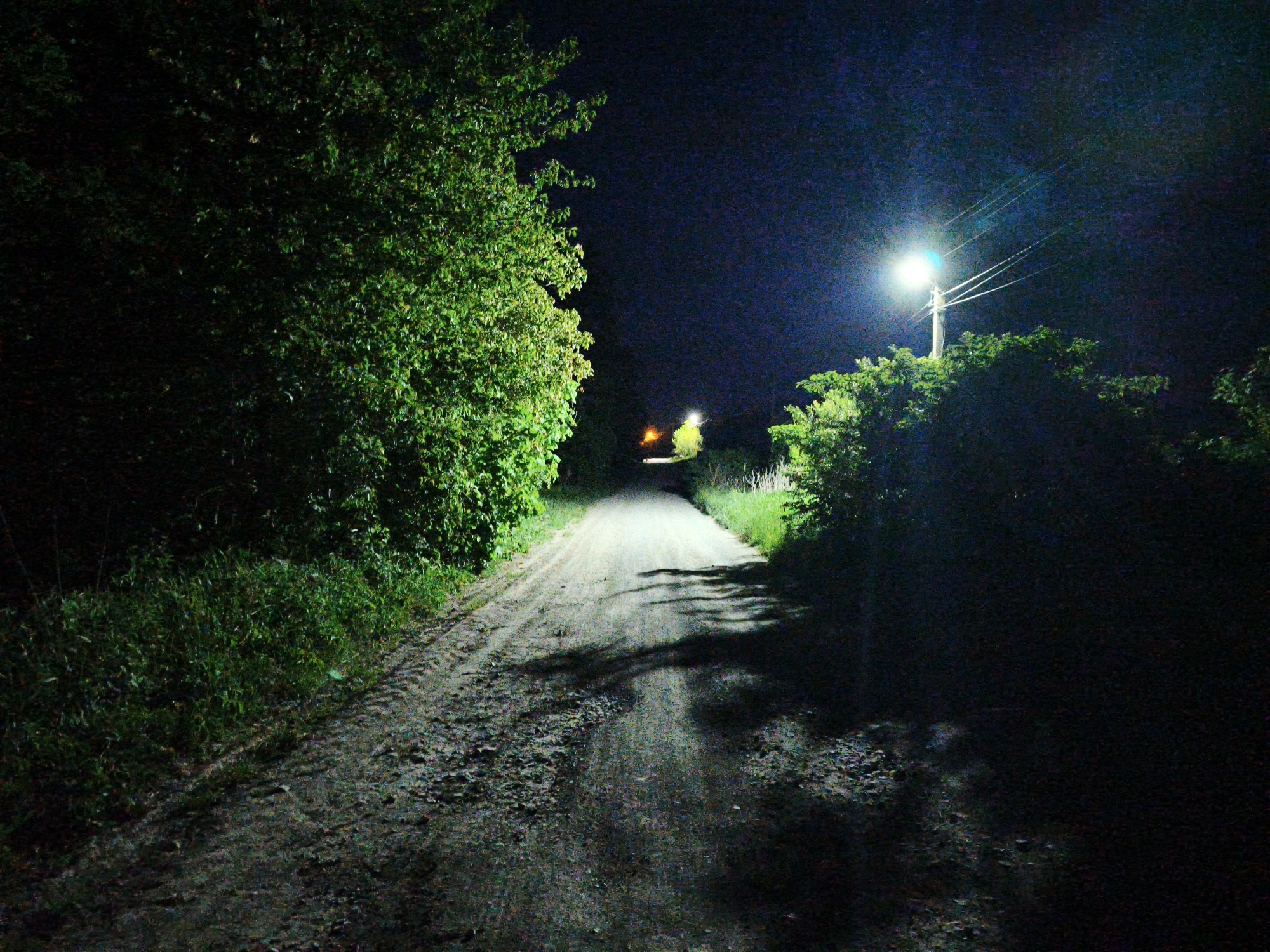 A dirt road leads into the darkness, illuminated by a single street lamp on the right and another further down the road. Dense foliage lines the left side of the road, while shorter bushes are on the right. The road surface is uneven and shadowed. The sky is dark.
There is no indication this image is from Yemelivka, Ukraine.