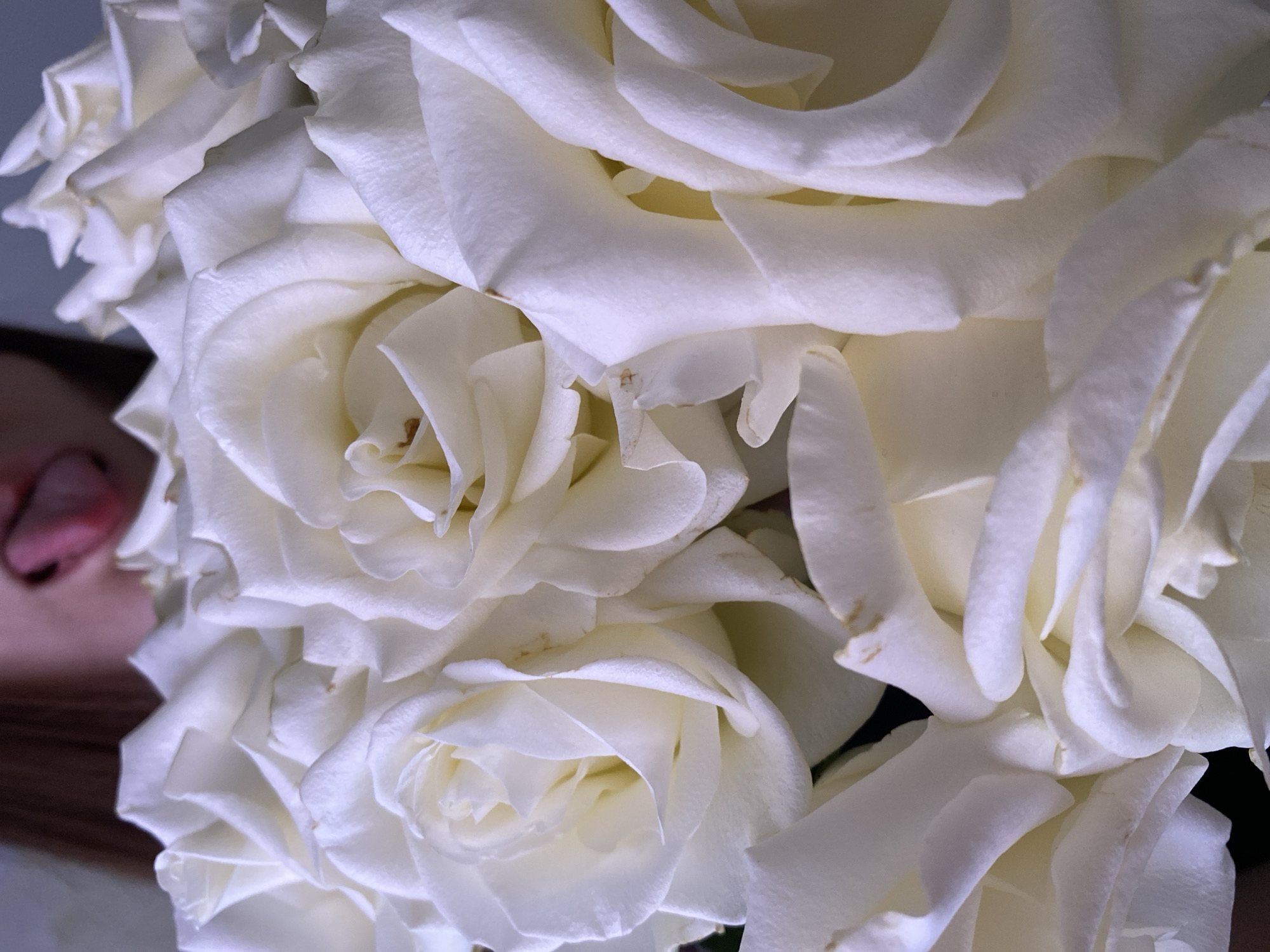 The image features a close-up of a bouquet of white roses. The petals are densely packed and appear soft with subtle shadows. In the left corner of the image, a person's face is partially visible with their tongue sticking out. There are no details in the image to identify a specific location, including Votkinsk, Russia.