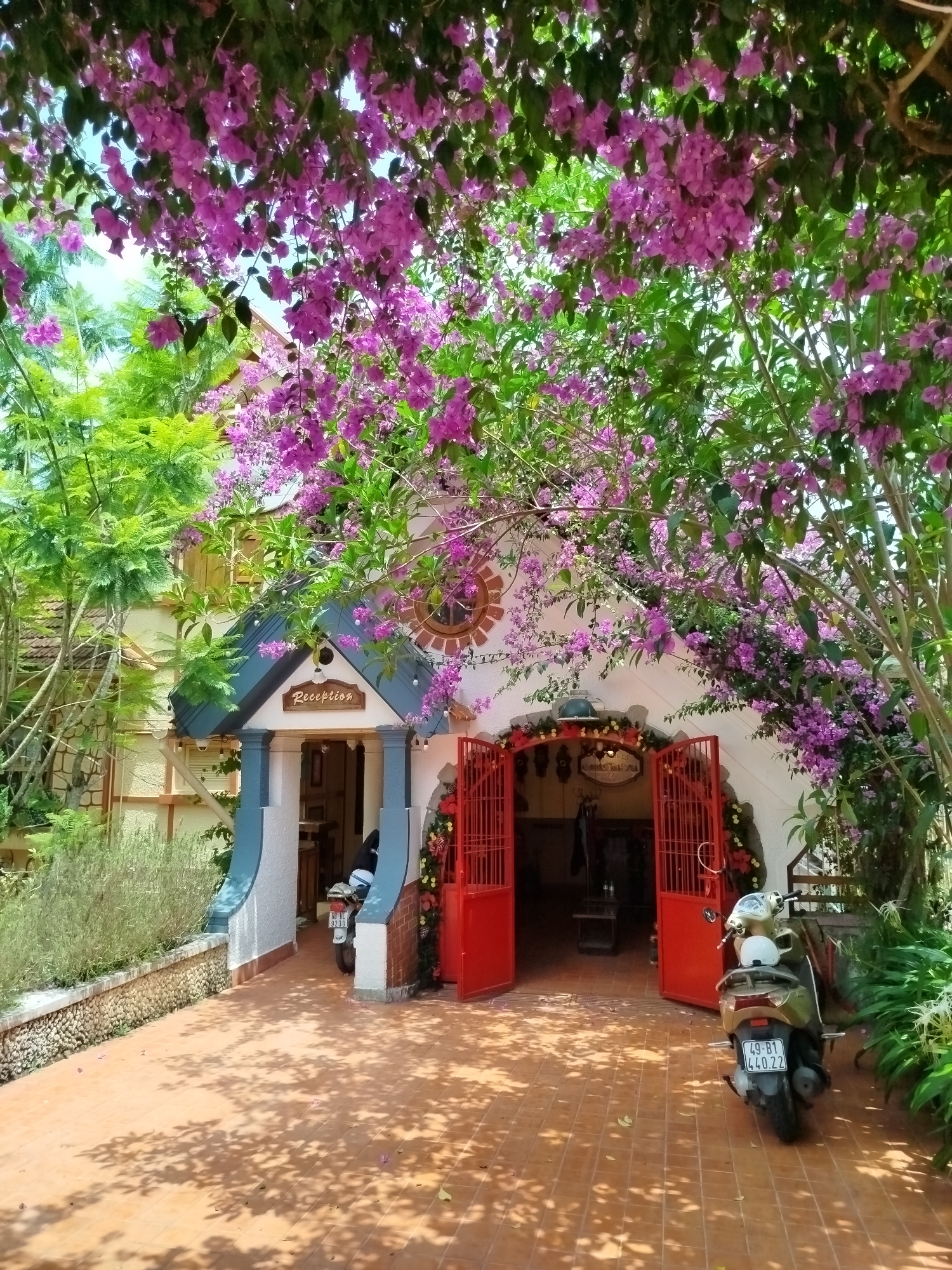 The image shows a building with the word "Reception" above its arched entrance, surrounded by blooming purple bougainvillea. The building's design incorporates a round window and is painted white with blue trim. The entrance features red, wrought-iron gates that are open. Two motorbikes are parked near the entrance. The foreground is a tiled courtyard with shadows cast by the surrounding foliage. The location is identified as Cam Ly - Đà Lạt, Vietnam.