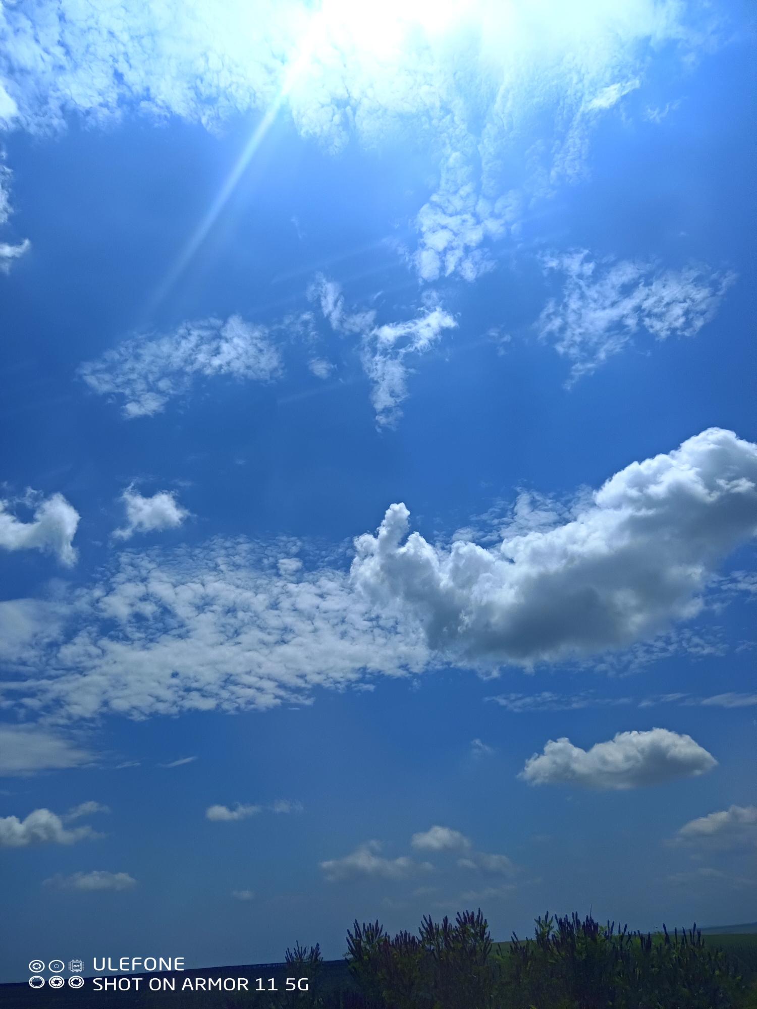 The image presents an outdoor daytime scene over Kozare, Bulgaria. The upper two-thirds of the frame are dominated by a bright blue sky, with the sun positioned in the upper right quadrant, emitting a prominent lens flare. Various cloud formations are visible: diffuse, wispy clouds occupy the upper left, while scattered, smaller cumulus and stratocumulus clouds are dispersed across the mid-section. A larger, denser cumulus cloud with discernible shadow is prominent in the mid-right. The lower portion of the image displays the tops of dark green foliage or bushes featuring small buds, which partially obscure a distant, indistinct horizon line. No people, animals, or man-made structures are visible within the natural landscape. A white digital watermark in the lower-left corner states "ULEFONE SHOT ON ARMOR 11 5G".