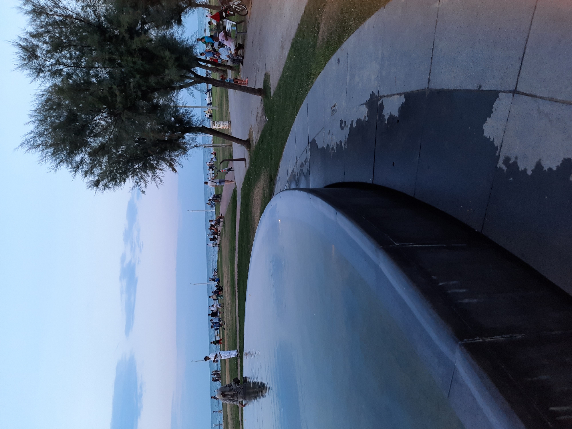 The image captures a serene evening scene along the coastline of Pesaro, Italy. In the foreground, a large, dark, curved fountain with still, reflective water dominates the left side of the frame. The water surface is smooth, mirroring the soft blue and pink hues of the twilight sky, with subtle ripples visible near the edge. A person is partially visible, bending down near the edge of the fountain.
Beyond the fountain, a paved walkway curves to the right, bordered by a strip of green grass. Several trees with sparse foliage are scattered along the walkway and the grassy area, their branches reaching upwards. In the background, the Adriatic Sea stretches out under a pale blue sky with faint clouds. A group of people are seen strolling along the beachfront or sitting on benches, enjoying the evening ambiance. Some are standing near the water's edge, while others are closer to the walkway. A few bicycles are also present. The overall atmosphere is tranquil and relaxed, typical of a seaside promenade in the early evening.
