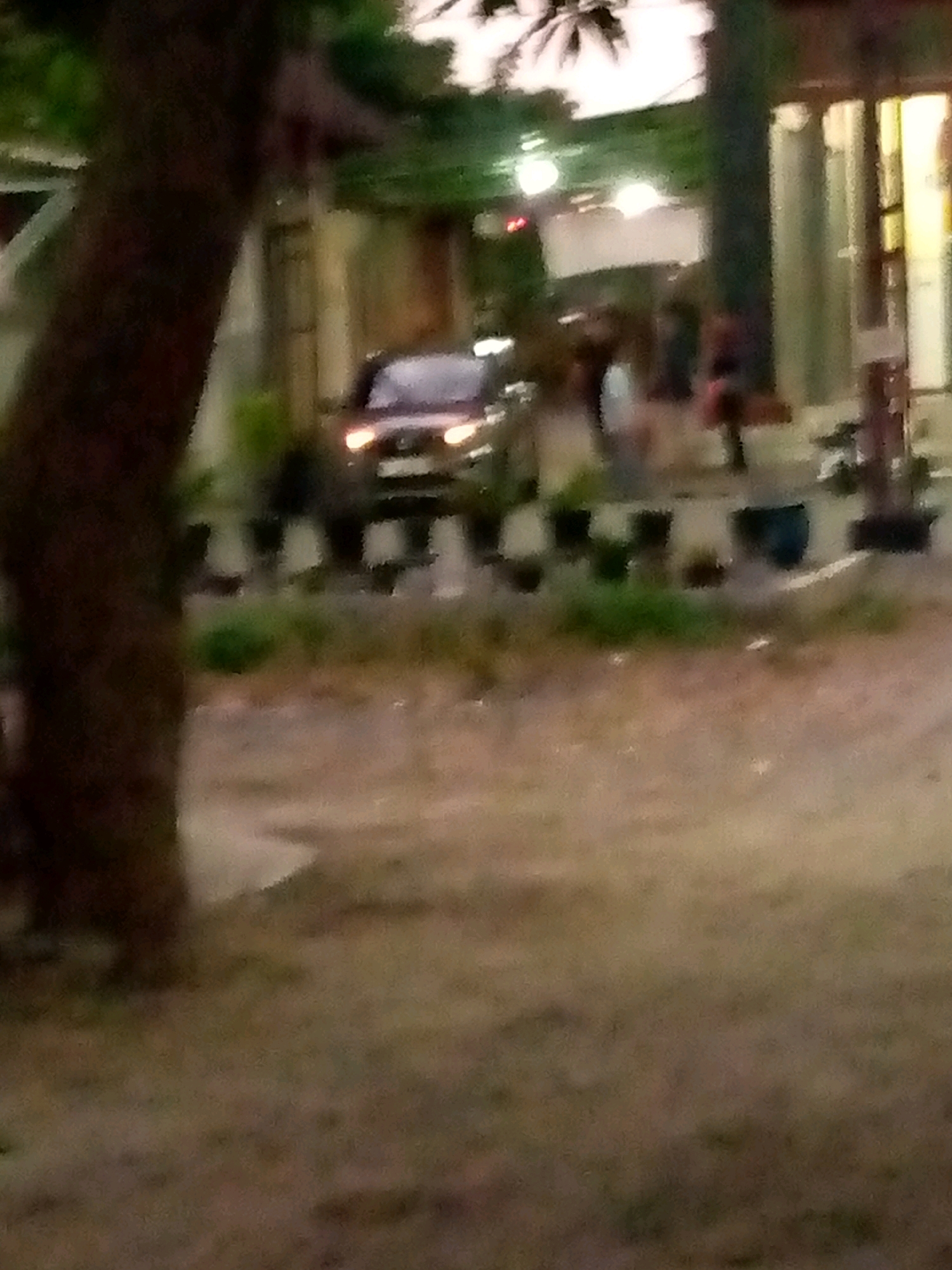 The image depicts an outdoor scene with a vehicle in the background, possibly on a street or parking area in Sumberwono, Indonesia. A large tree trunk dominates the left side of the frame. In the mid-ground, a dark-colored car with illuminated headlights is visible. The background shows some buildings and foliage, suggesting an urban or semi-urban environment. The lighting indicates it might be dusk or dawn. There are several potted plants or planters arranged in a line in the mid-ground. The ground in the foreground appears to be dirt or gravel. The overall image is slightly blurred, making precise details difficult to discern.
