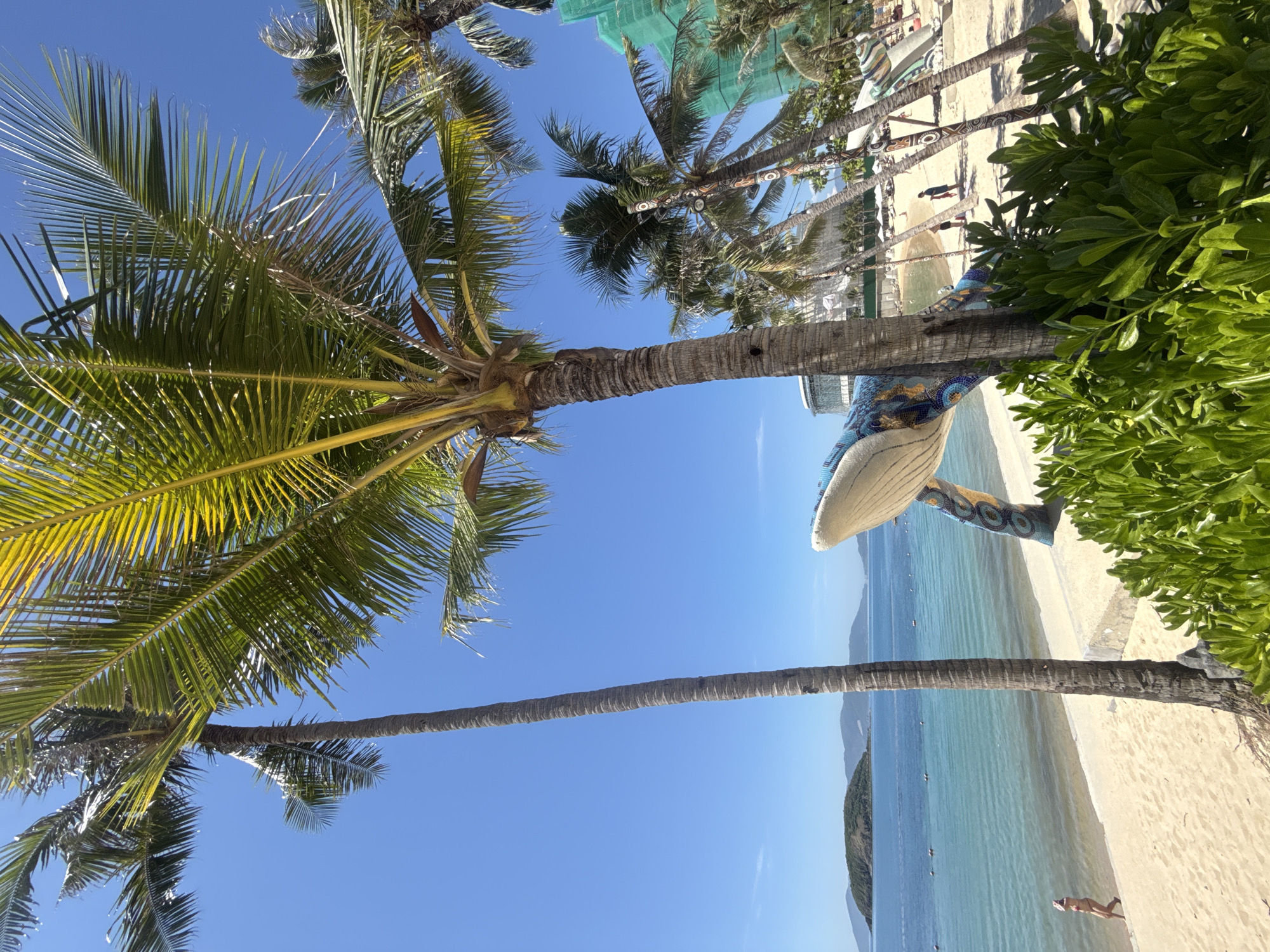 A low-angle, vertical shot captures a tropical beach scene under a clear blue sky. Two tall palm trees dominate the foreground, their fronds casting shadows on the sand. In the middle ground, a vibrant, mosaic-tiled sculpture of a whale is partially visible, its head and one flipper adorned with colorful patterns. Beyond the sculpture, a sandy beach stretches towards the turquoise ocean, where a few small buoys mark a swimming area. In the distance, a lush green island with rolling hills rises from the water, and mountains form a hazy backdrop. The presence of buildings under construction, clad in green netting, suggests ongoing development in the area. A lone woman in a bikini walks along the shoreline, while several other figures are scattered on the beach, some gathered under umbrellas. The overall atmosphere is one of a sunny, relaxing day at a coastal resort. This scene is likely located in the vicinity of Bac Nha Trang Ward, Vietnam, a popular tourist destination known for its beaches and islands.