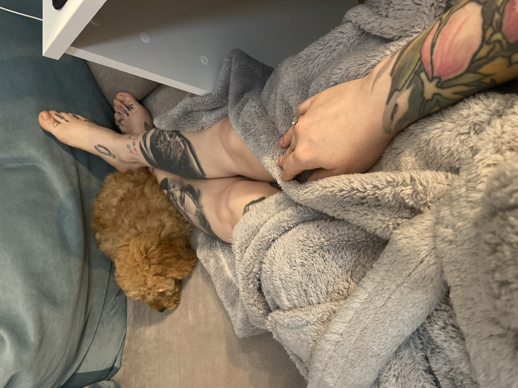 The image presents a cozy, intimate indoor scene, likely a home in Saratov, Russia, featuring a person relaxing with a small dog. The perspective is an overhead view, looking down at the person's lower body and arm, partially covered by a plush, fuzzy gray robe or blanket.
The person is wearing the soft gray garment, with their bare legs and feet visible. Numerous tattoos adorn their skin: a small heart on the left foot, an image resembling tweezers or scissors on the lower left leg, and larger black and grey illustrative tattoos on both calves (one partially obscured, possibly a portrait or animal). On the right foot/ankle, faint red text spells "ON." The visible forearm, also tattooed, displays a vibrant design of pink flowers, possibly tulips or peonies, with green leaves. The person's right hand, wearing a ring with a clear stone on the ring finger, rests on the gray fabric.
Next to the person's feet, a small, light brown, curly-haired dog, resembling a poodle or doodle, is curled up and resting. Its head is visible, facing away from the viewer.
The immediate surroundings include a light-colored floor, possibly carpet or a rug, and a teal-blue fabric item to the left, which could be a cushion or another blanket. A white furniture piece, perhaps a low shelf or table with a gray underside, is positioned above the person's feet. The overall impression is one of comfort and leisure.