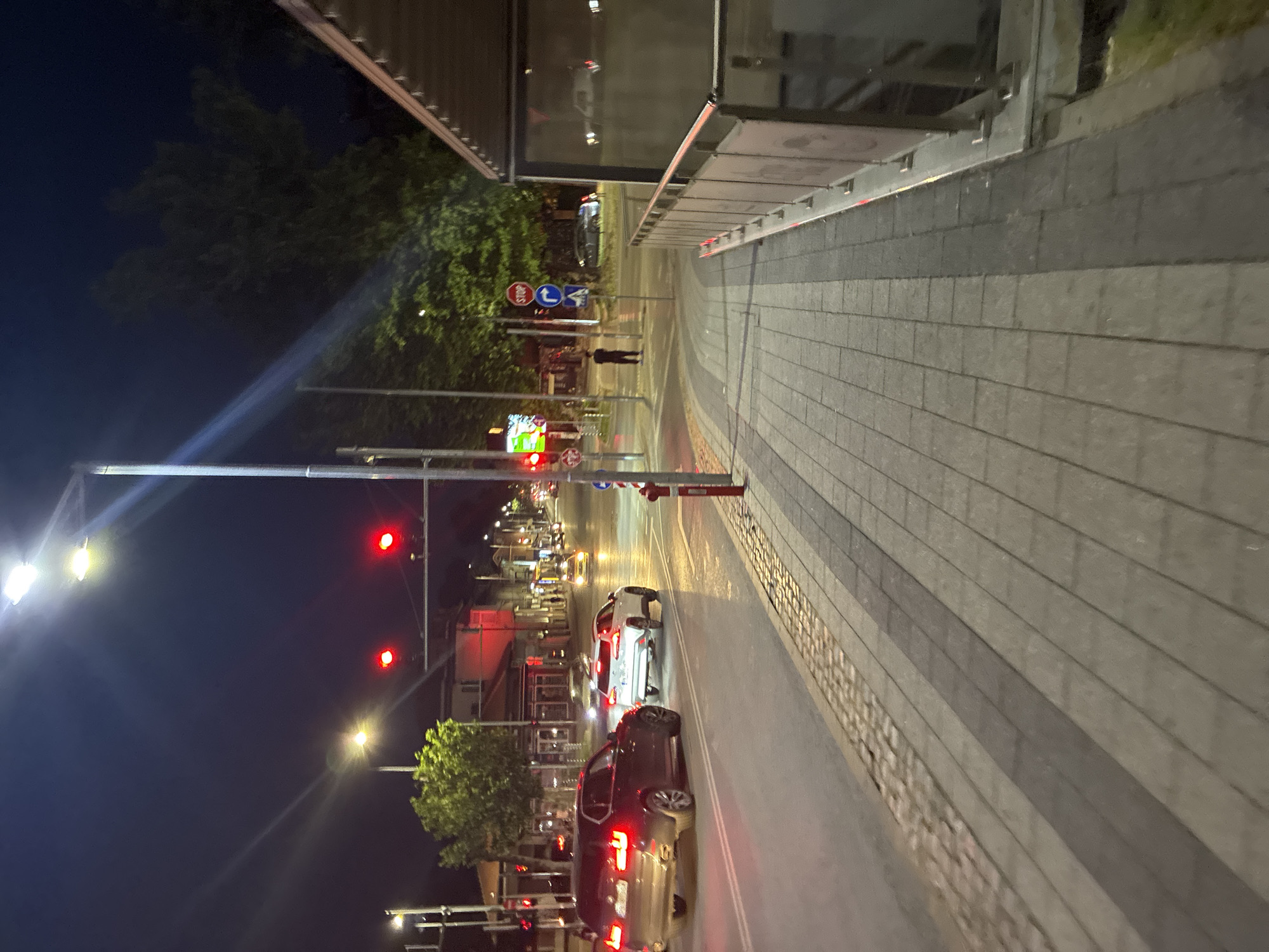 The image presents an evening scene of an urban street intersection in Plovdiv, Bulgaria, captured from a slightly elevated perspective on a paved sidewalk. The sky above is dark, illuminated by artificial light sources.
In the foreground, a multi-lane road is visible with several vehicles. A dark-colored BMW X5 SUV is stationary in the left lane, displaying red taillights. Directly behind it in the adjacent lane, a white Lexus RX SUV is also stopped, its headlights and front elements visible. Both vehicles, along with others further down the street, appear to be halted by red traffic signals, two of which are prominently displayed ahead and slightly to the right of the intersection.
Mounted on a pole next to the traffic lights are three road signs: a red circular "STOP" sign, a blue circular sign indicating a mandatory right turn, and a blue square sign indicating the option to proceed straight ahead. A red fire hydrant stands on the sidewalk near these signs.
The sidewalk in the immediate foreground features a pattern of alternating light and dark gray rectangular pavers. Along the right side of the frame, a modern covered structure, possibly an entrance to an underpass or a pedestrian shelter, features a metal railing with transparent or translucent panels, reflecting the streetlights and vehicle illumination.
Across the street, various multi-story buildings line the thoroughfare, some showcasing illuminated windows indicative of commercial establishments or residential units. Clusters of trees with discernible green foliage are scattered along the street, softened by the night lighting. Further down the street, additional vehicles are visible, their lights creating reflections on the road surface. A single person, dressed in dark attire, is discernible standing on the far side of the street, near a traffic island. The scene depicts an active, well-lit urban environment at night.
