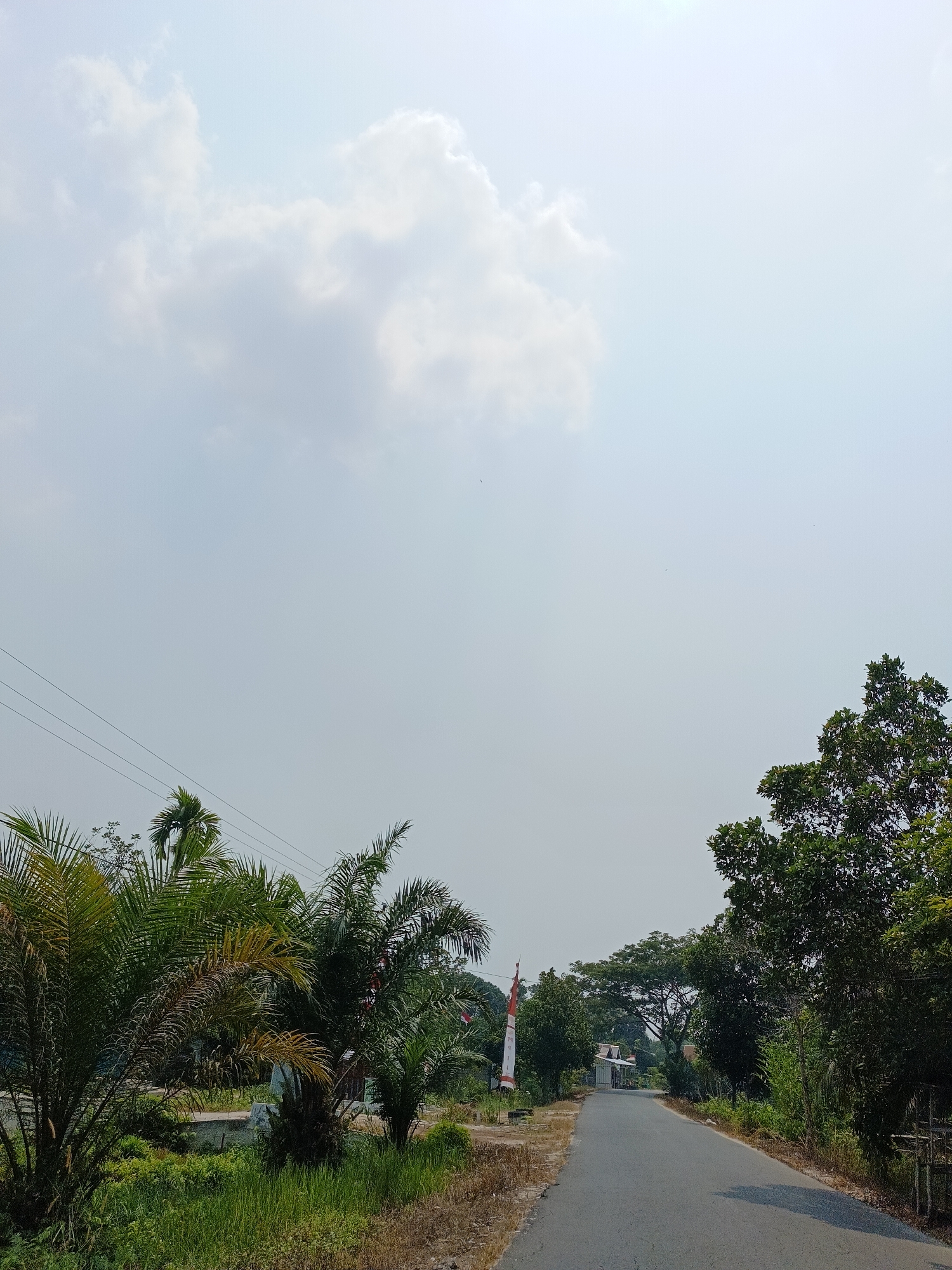 This is an eye-level, outdoor, full shot of a rural road in Palangka Raya, Indonesia, on a clear day. The road is asphalt and appears to be a two-lane street. On the left side of the road, there are palm trees and other vegetation. There is also a utility pole with wires. On the right side of the road, there are more trees. In the distance, there is a small building. The sky is clear with some clouds. The image appears to have been taken in the daytime.