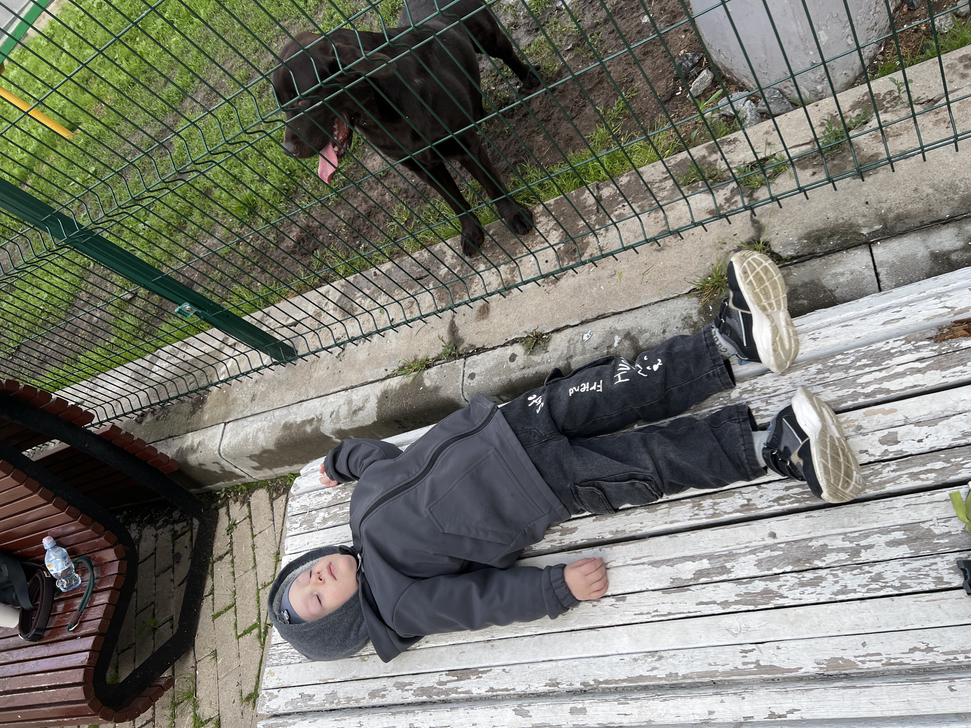 A young child is lying on a weathered, white wooden bench. The child is dressed in dark clothing, including a hooded jacket and pants with white lettering. The child is facing the sky with eyes closed and appears to be resting or sleeping. Beside the bench, on a darker, brown wooden bench, is a clear water bottle. Beyond the child and bench is a green wire fence, behind which stands a large, dark-colored dog with its tongue lolling out. The location is Mytishchi, Russia.