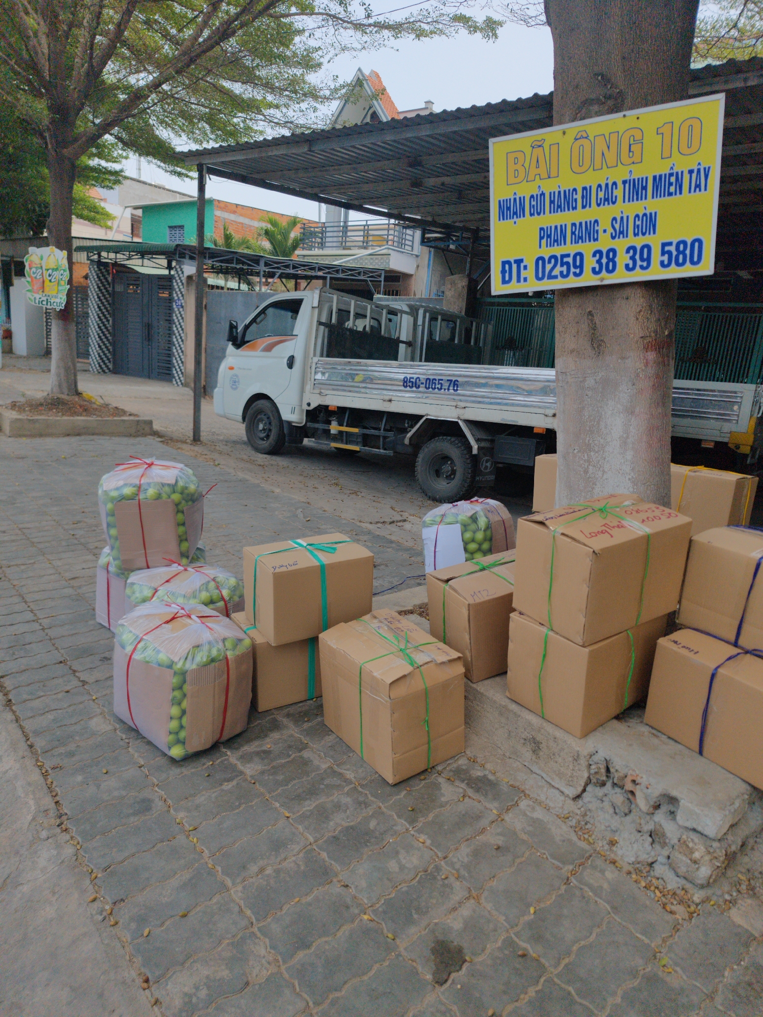 The image shows a scene in Phan Rang – Tháp Chàm, Vietnam. Several cardboard boxes and translucent bags filled with green fruit, likely produce, are stacked on a paved sidewalk next to a curb and a tree trunk. A white Hyundai truck is parked behind the boxes, partially under a metal awning. A yellow sign is attached to the tree trunk with Vietnamese text, including the phone number 0259 38 39 580. In the background, a residential area is visible with houses, fences, and trees. A small advertisement for "C2" soft drinks is on another tree on the far left.