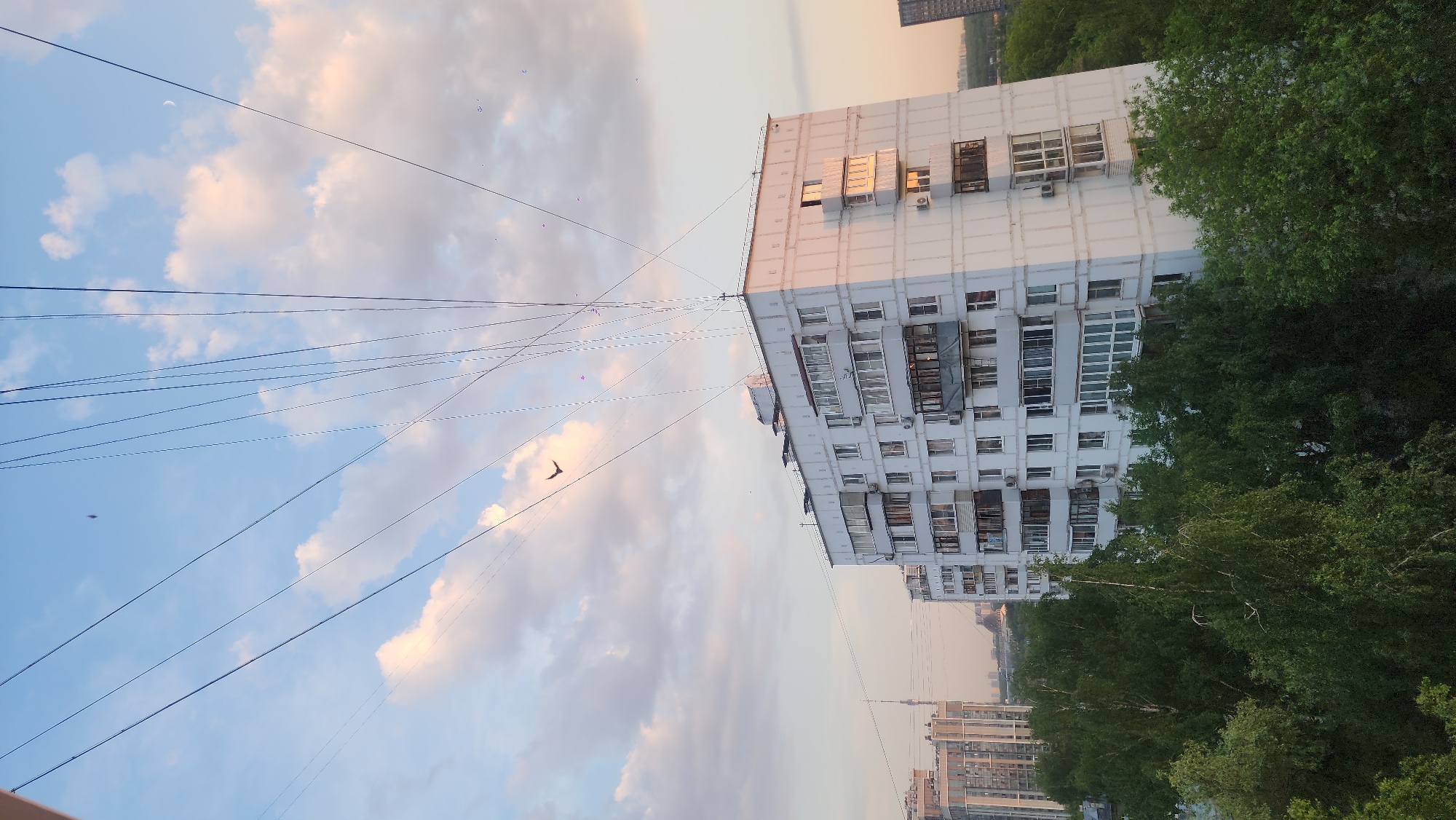 The image shows a street view in Moscow, Russia, taken at what appears to be dusk or dawn. The sky is blue with pink-tinged clouds, and several electrical wires stretch across the frame. A bird is visible in the sky. To the right, a white apartment building with multiple windows and balconies stands amidst green trees. Further in the background, other buildings are visible, suggesting an urban environment.