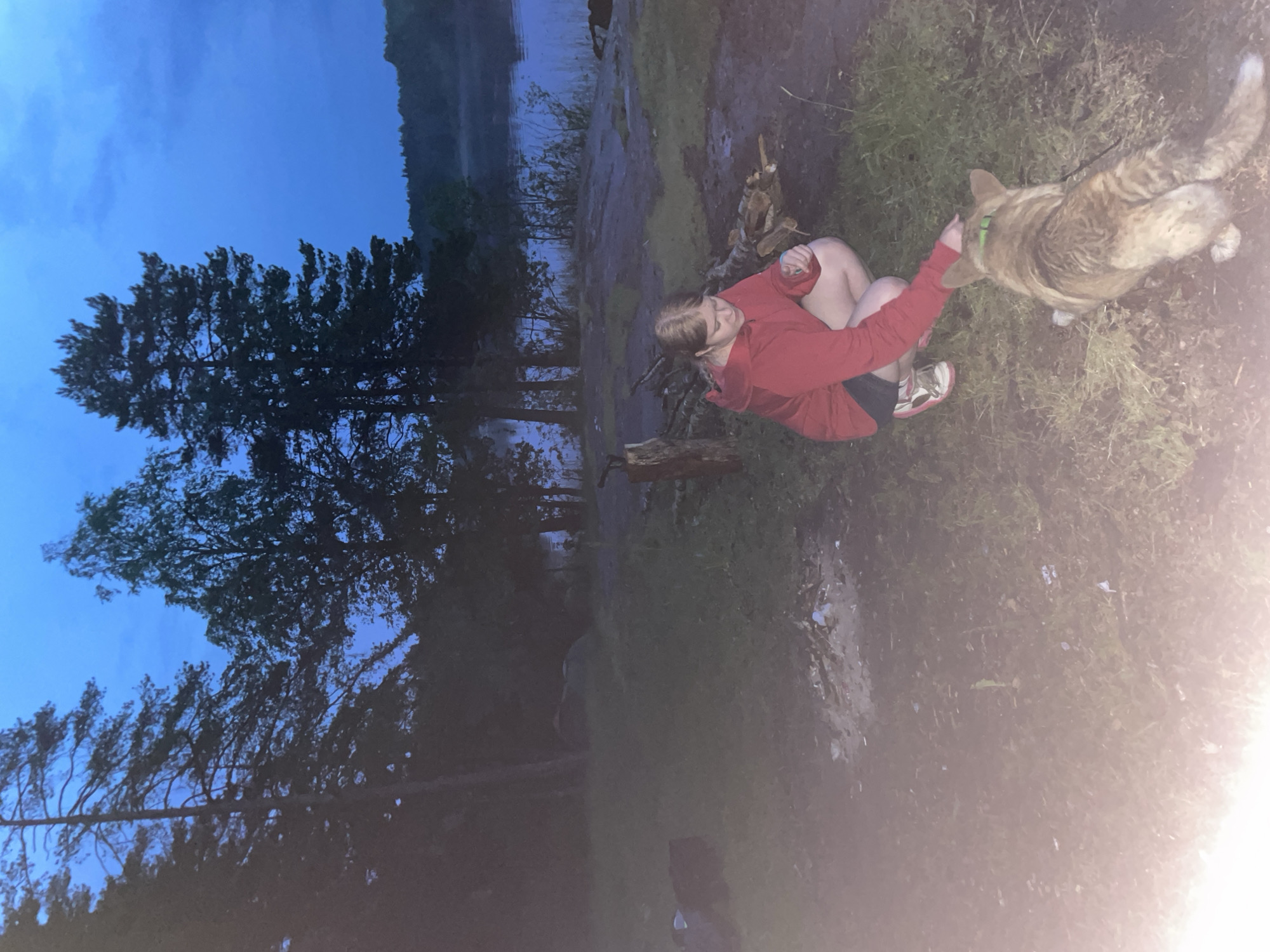 The image depicts a twilight outdoor scene in Yarkoe, Russia, set on the bank of a body of water, likely a lake or large river, bordered by a dense forest. A young female, appearing to be a teenager or young adult with light-colored hair, is positioned in the foreground, crouching down on her haunches. She is wearing a red hooded jacket, dark shorts, and white sneakers with red accents. Her right hand is extended towards a medium-sized, light brown dog with short fur, which is lying prone on the grassy ground, facing away from the camera. The dog has a green collar and a dark leash visible, extending towards the lower left out of frame. The female appears to be petting or engaging with the dog.
In the immediate foreground, a cleared area of dirt and ash suggests a campfire pit, with a pile of logs and branches to its right, likely firewood. A wooden stump is visible to the left of the campfire area. The ground consists of a mixture of grass and bare earth. Behind the subjects, the environment transitions to a rocky shore alongside the calm body of water, which reflects the faint blue light of the evening sky. Beyond the water, a dark line of trees is visible against the horizon. The background is dominated by a coniferous forest, primarily composed of pine trees, silhouetted against a deep blue, cloud-strewn sky, indicating late dusk or early night. The overall lighting is dim, with a localized brighter area in the lower left foreground, possibly from a camera flash or artificial light source.