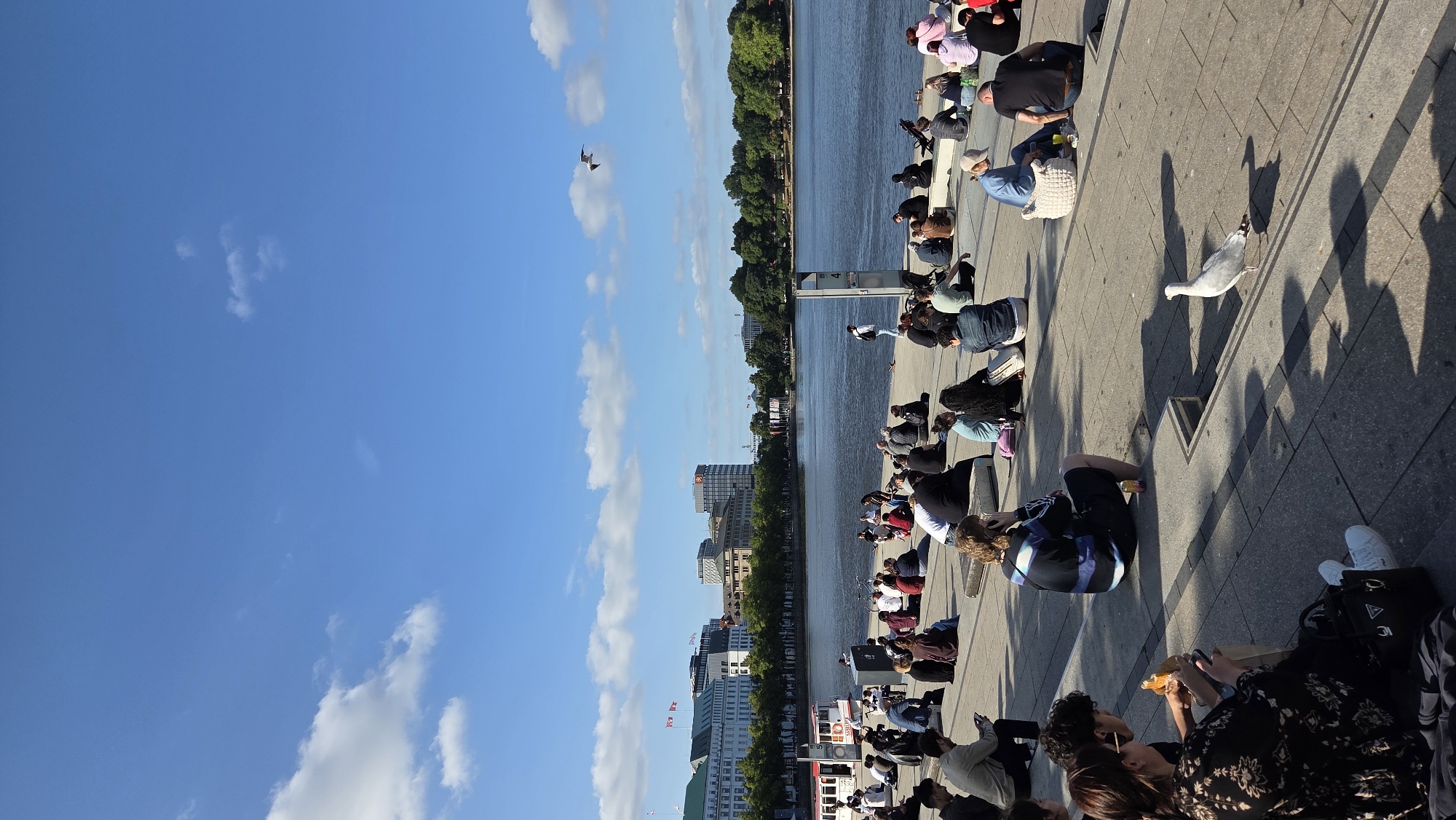 This is a vertical, eye-level, full shot of a sunny day at the Inner Alster Lake in Hamburg, Germany. A large crowd of people is gathered on the wide, concrete steps leading down to the water. They are mostly seated, facing the water, with some interacting with each other, and others looking at their phones. The people are diverse in age and gender, and are casually dressed. Some are eating or drinking. A boat is visible in the water on the left, and buildings line the opposite shore. Trees and a clear blue sky with scattered clouds complete the scene. A seagull is walking on the steps in the foreground. The overall atmosphere appears relaxed and communal.